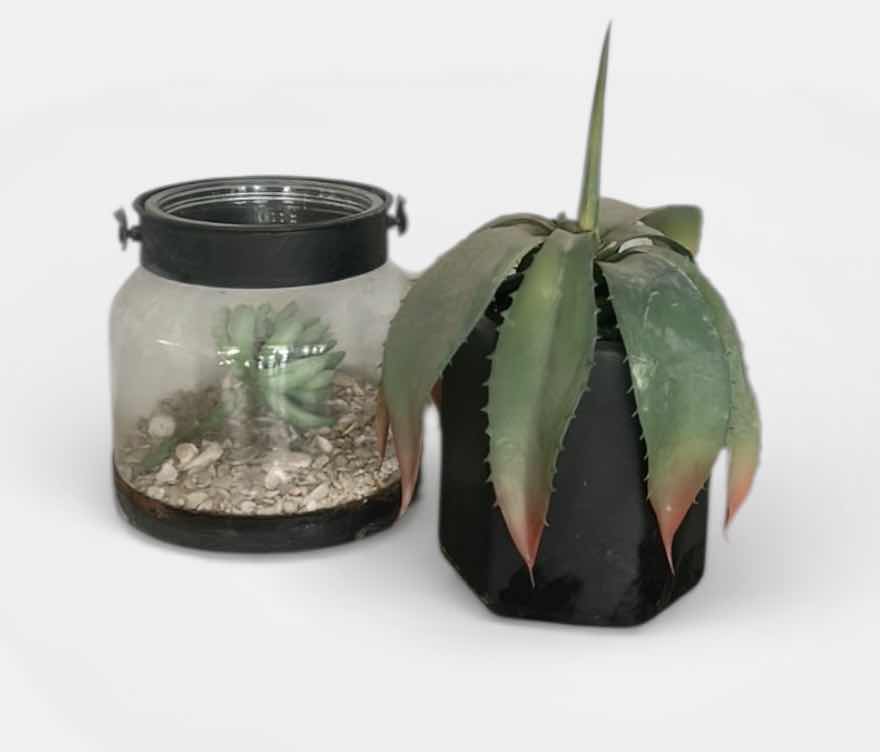 Photo 1 of 2 FAUX PLANTS 7”