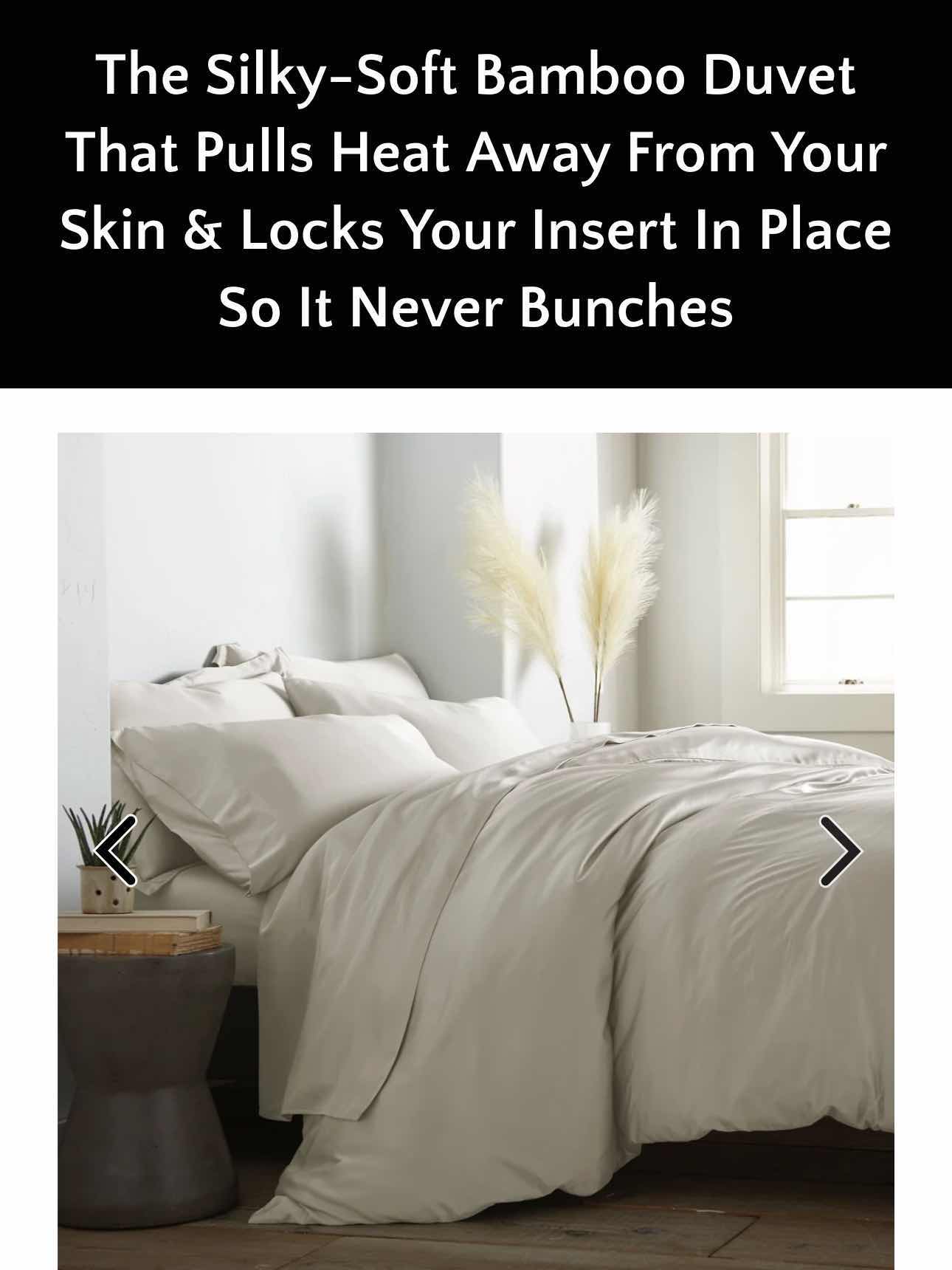 Photo 1 of BAMBOO IS BETTER BAMBOO DUVET COLLECTION FULL- QUEEN - 90” X 90” TAUPE