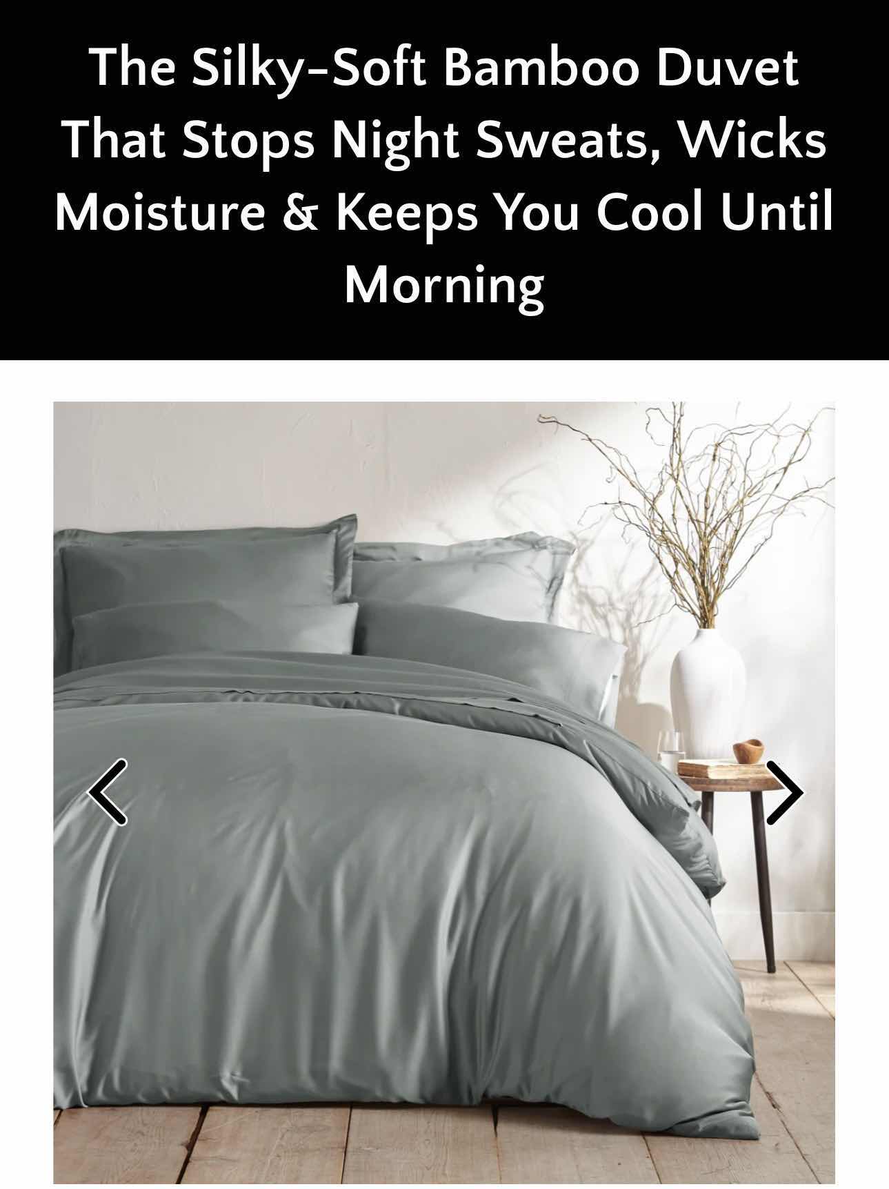 Photo 1 of BAMBOO IS BETTER BAMBOO DUVET COLLECTION FULL- QUEEN - 90” X 90” SILVER