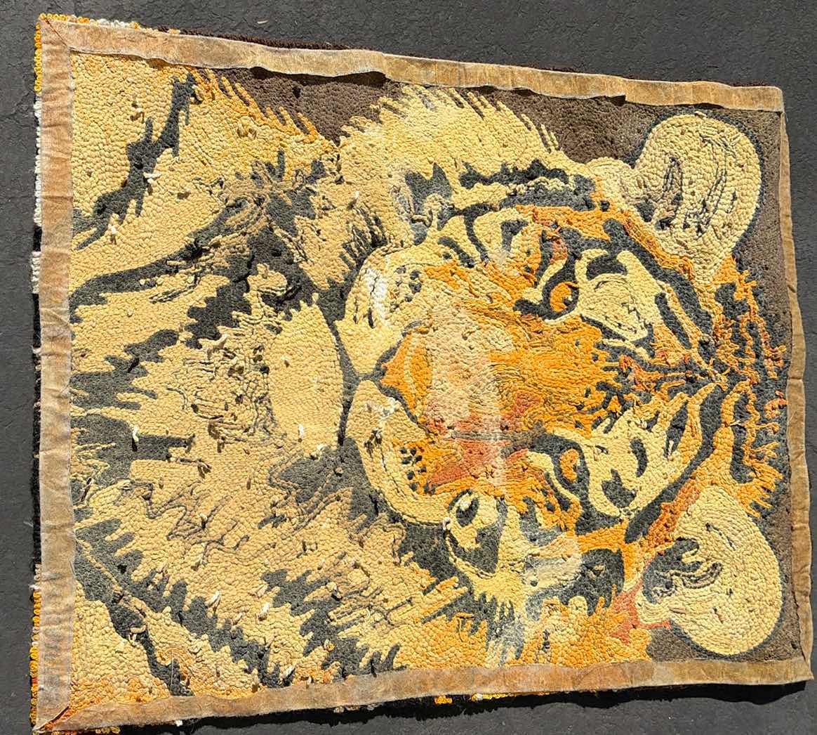 Photo 1 of AREA RUG TIGER 36” X 46”