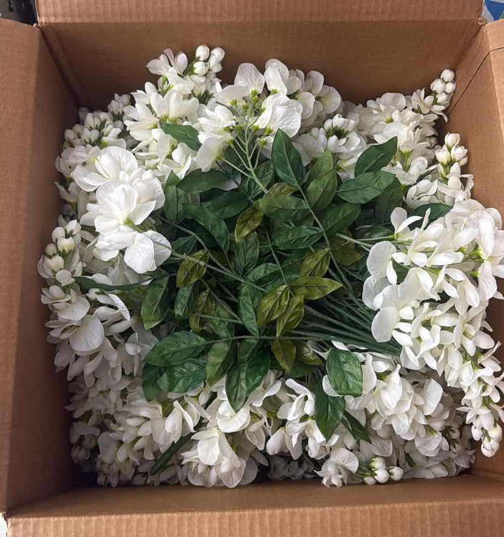 Photo 1 of CONTENTS OF BOX- WHITE WISTERIA BUSHES