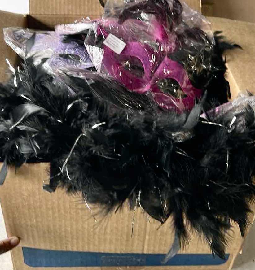 Photo 1 of BOX OF MARDI GRAS MASKS, BLACK AND SILVER BOAS AND TWINKLE LIGHTS