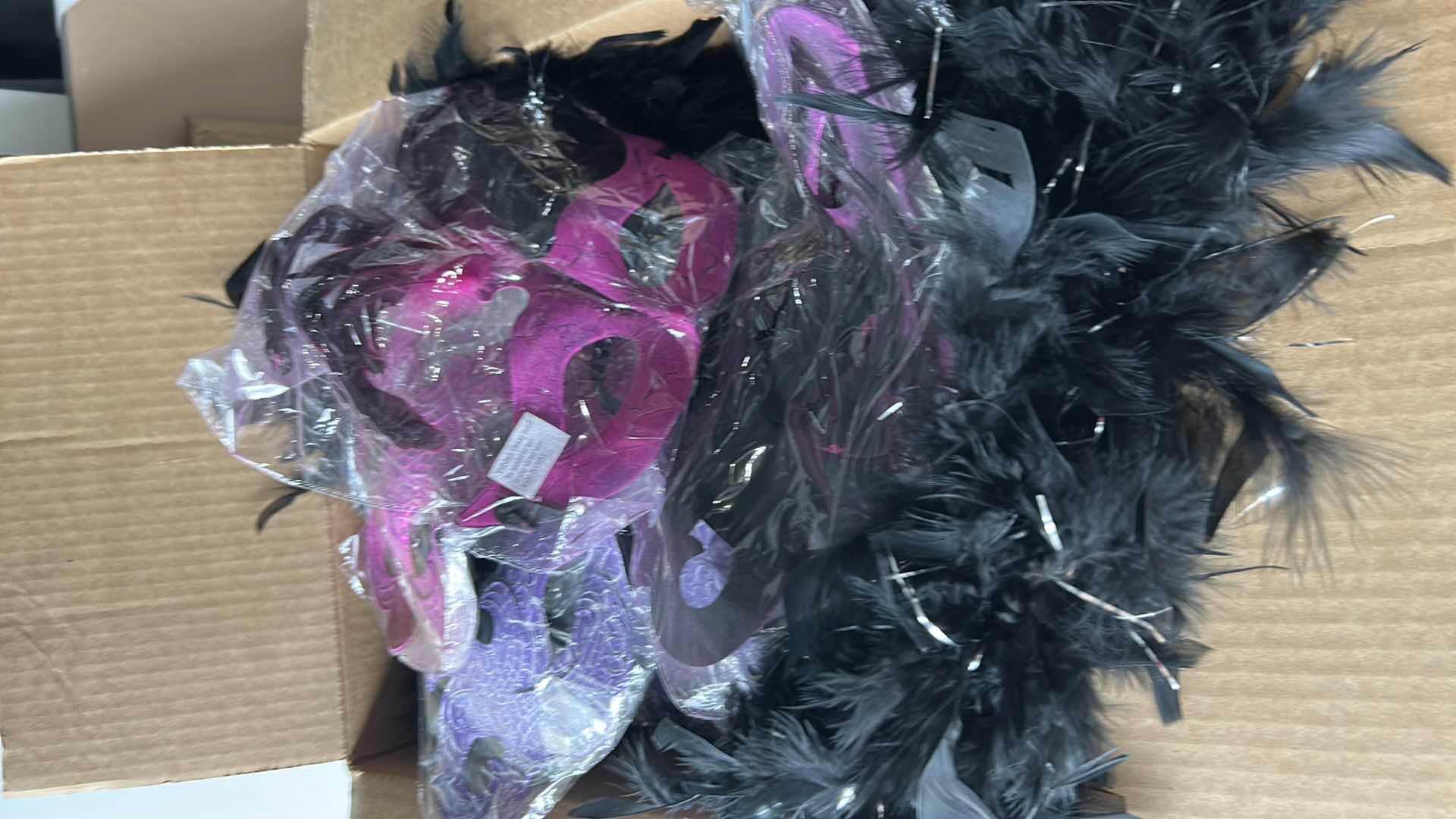 Photo 1 of BOX OF MARDI GRAS MASKS, BLACK AND SILVER BOAS AND TWINKLE LIGHTS