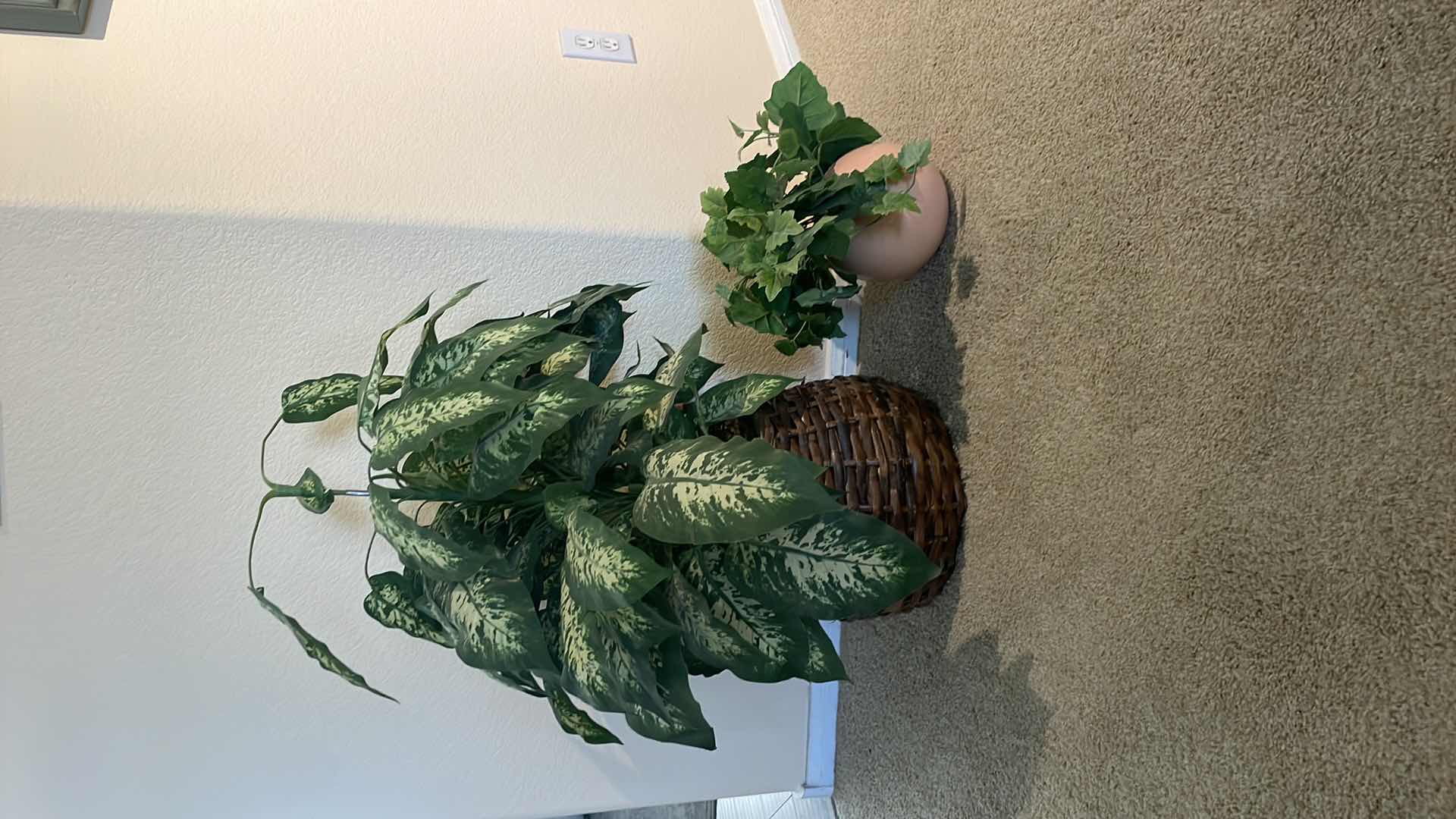 Photo 1 of FAUX PLANTS