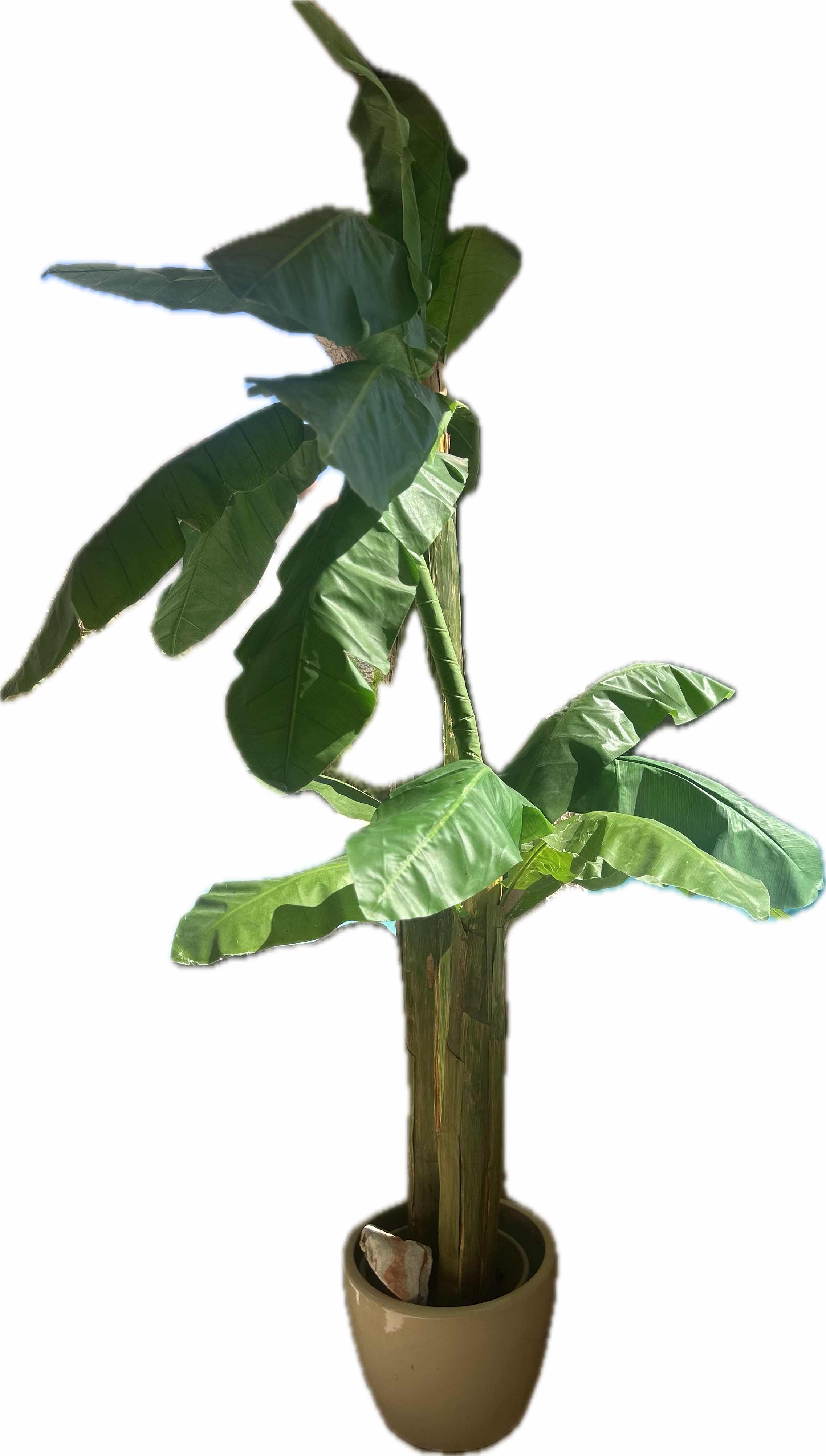 Photo 1 of 8 FT FAUX BANANA LEAF PLANT W BEIGE CERAMIC CONTAINER
