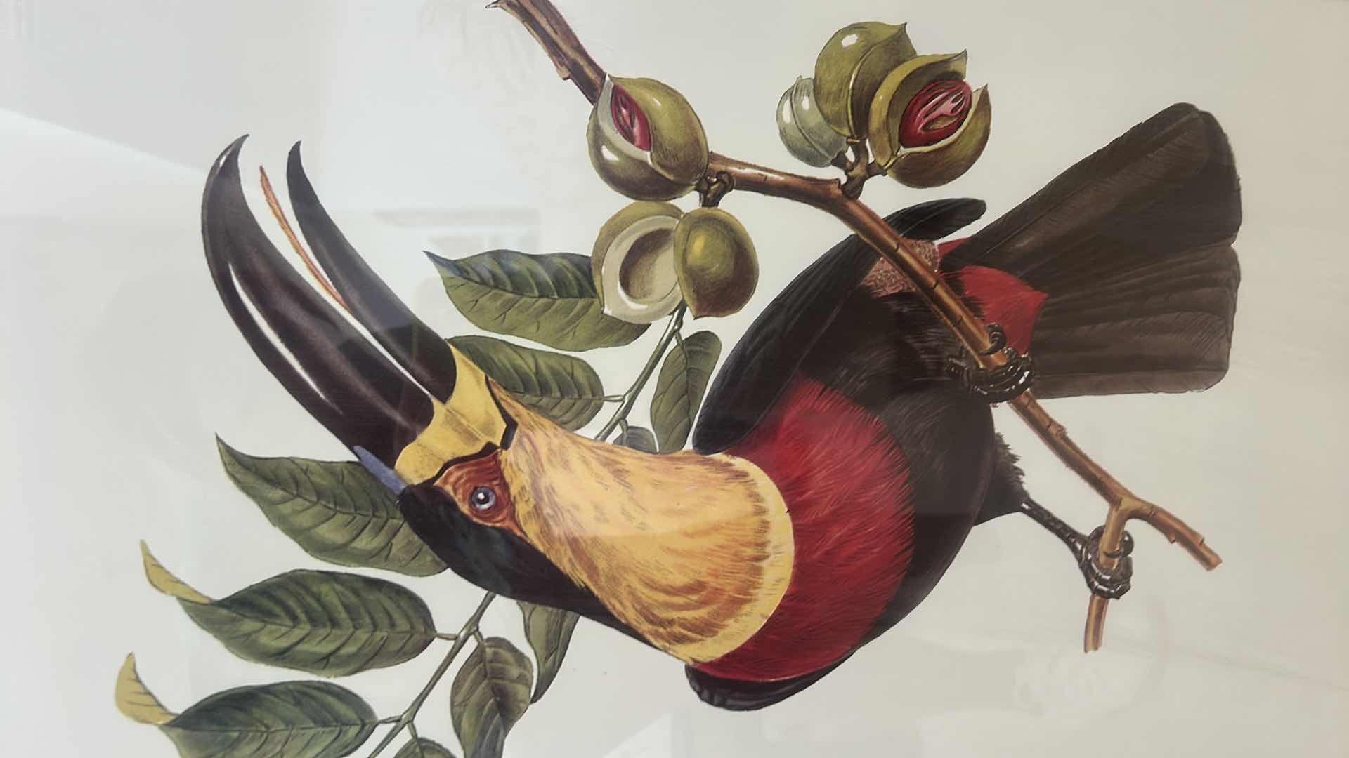 Photo 1 of WOOD FRAMED MIXED MEDIA TOUCAN ARTWORK 36“ x H44“