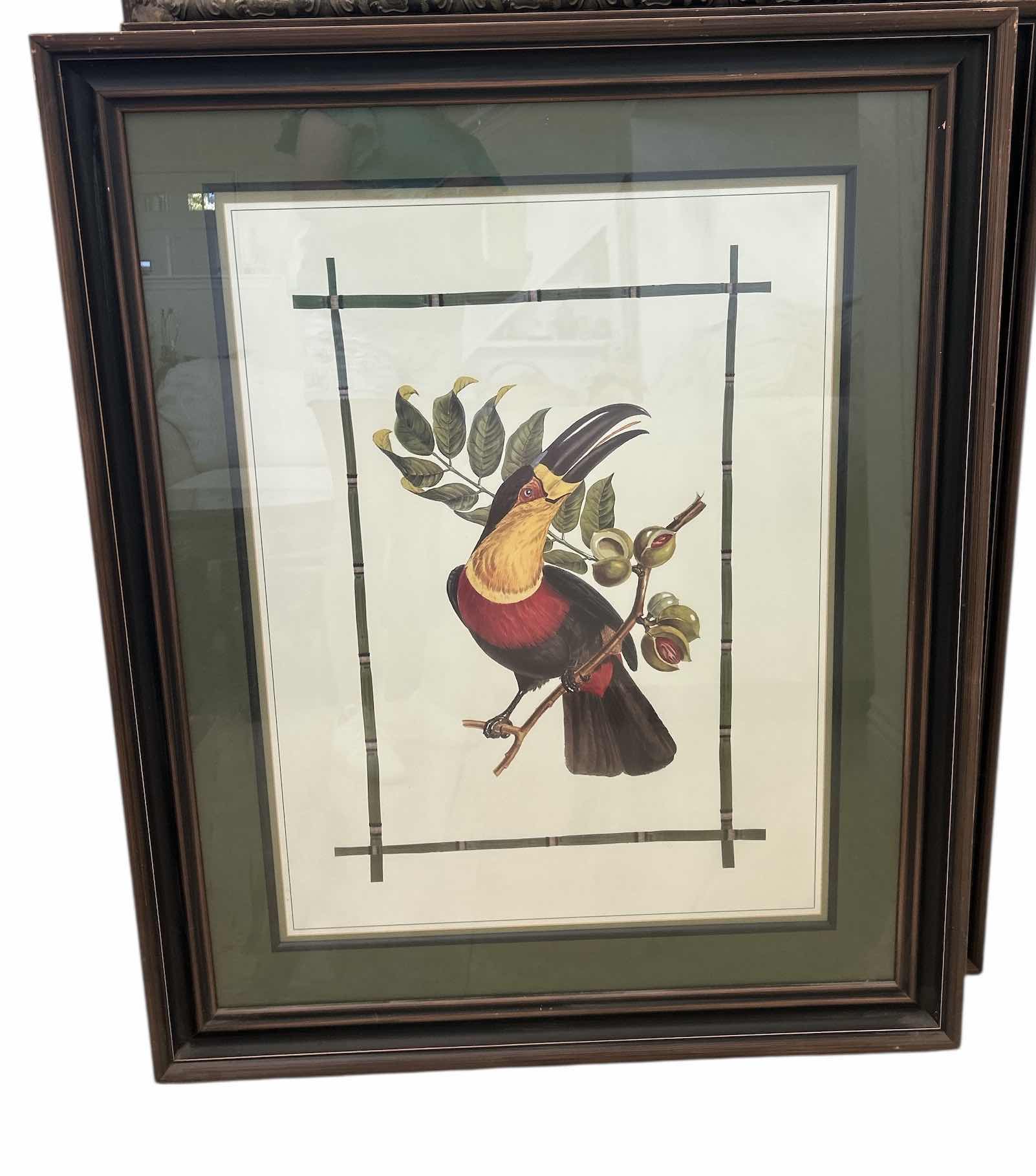 Photo 1 of WOOD FRAMED MIXED MEDIA TOUCAN ARTWORK 36“ x H44“