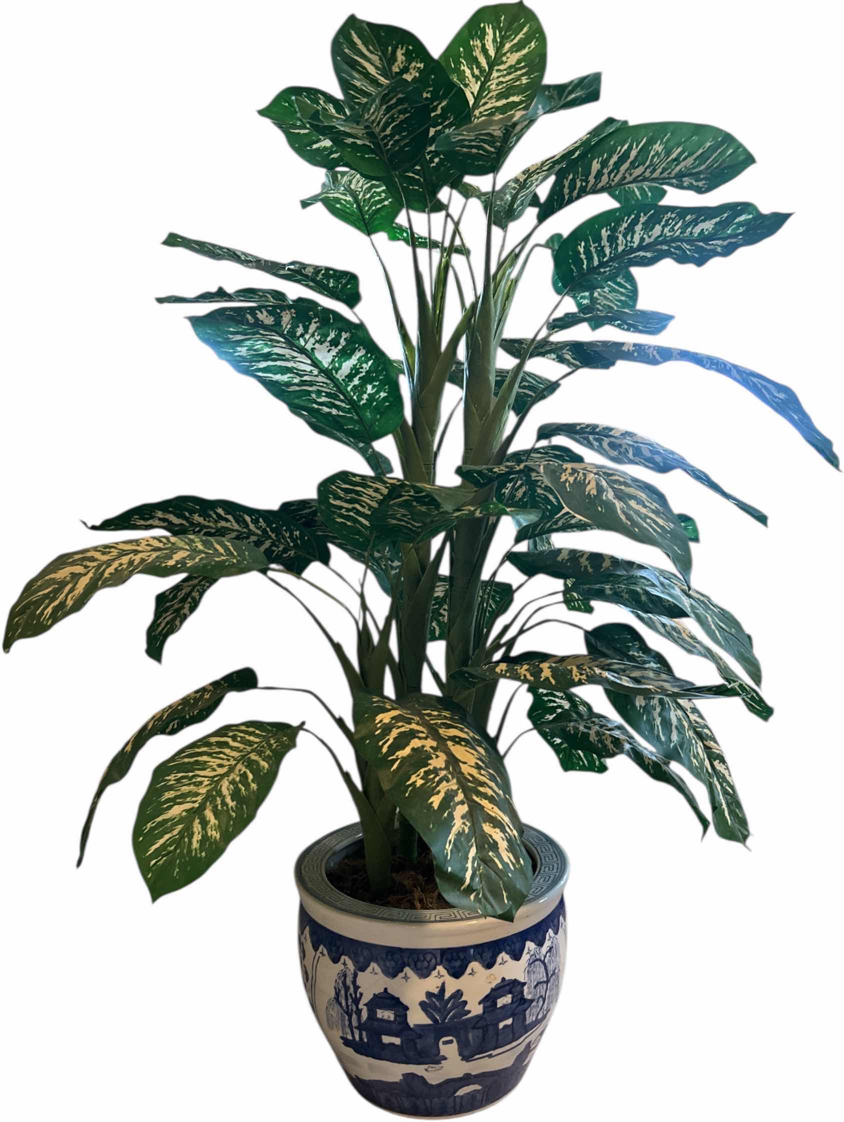 Photo 1 of ASIAN POTTERY WITH PLANT H57”