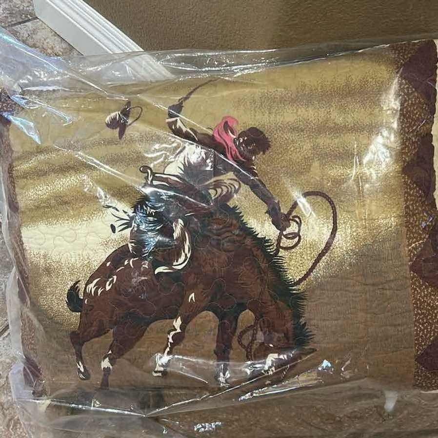 Photo 1 of 2- SOUTWESTERN PILLOW SHAMS