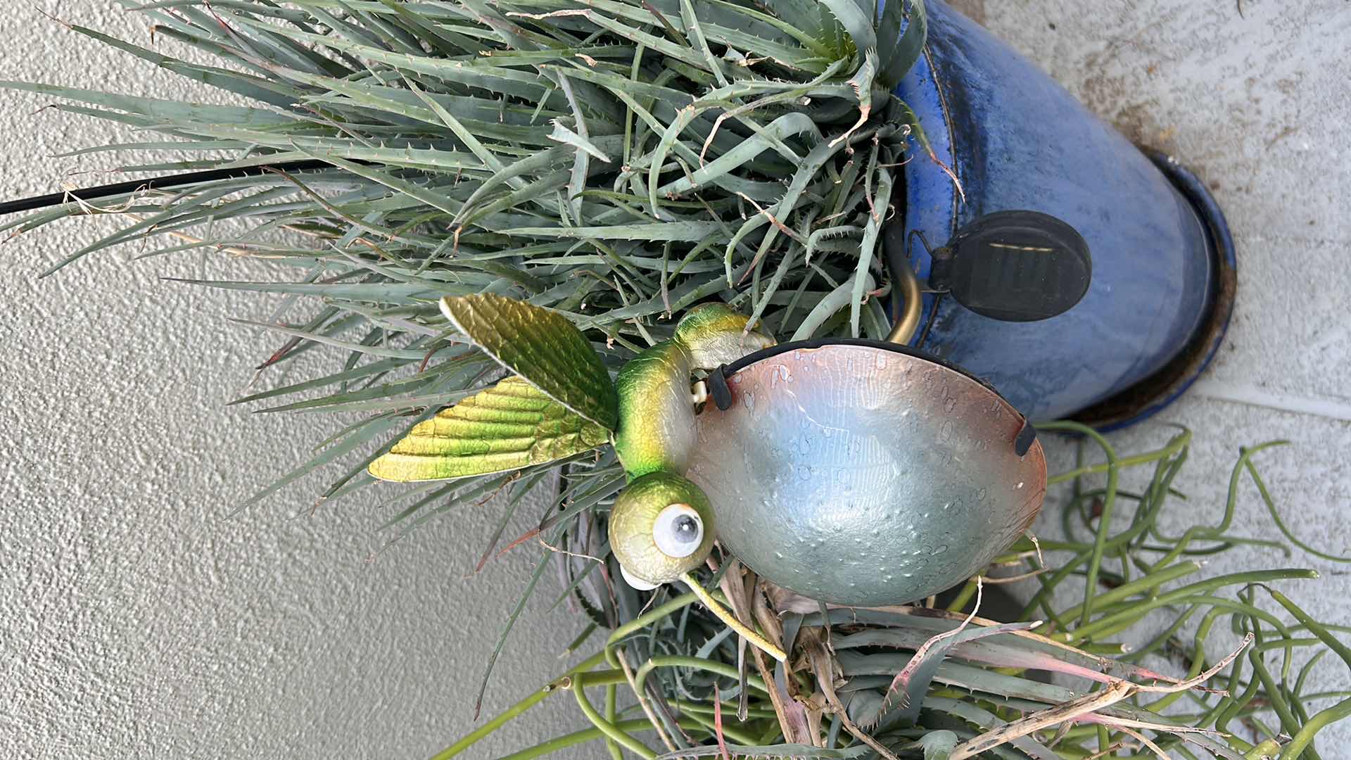 Photo 1 of BLUE CERAMIC POT W AIR PLANT H 39"