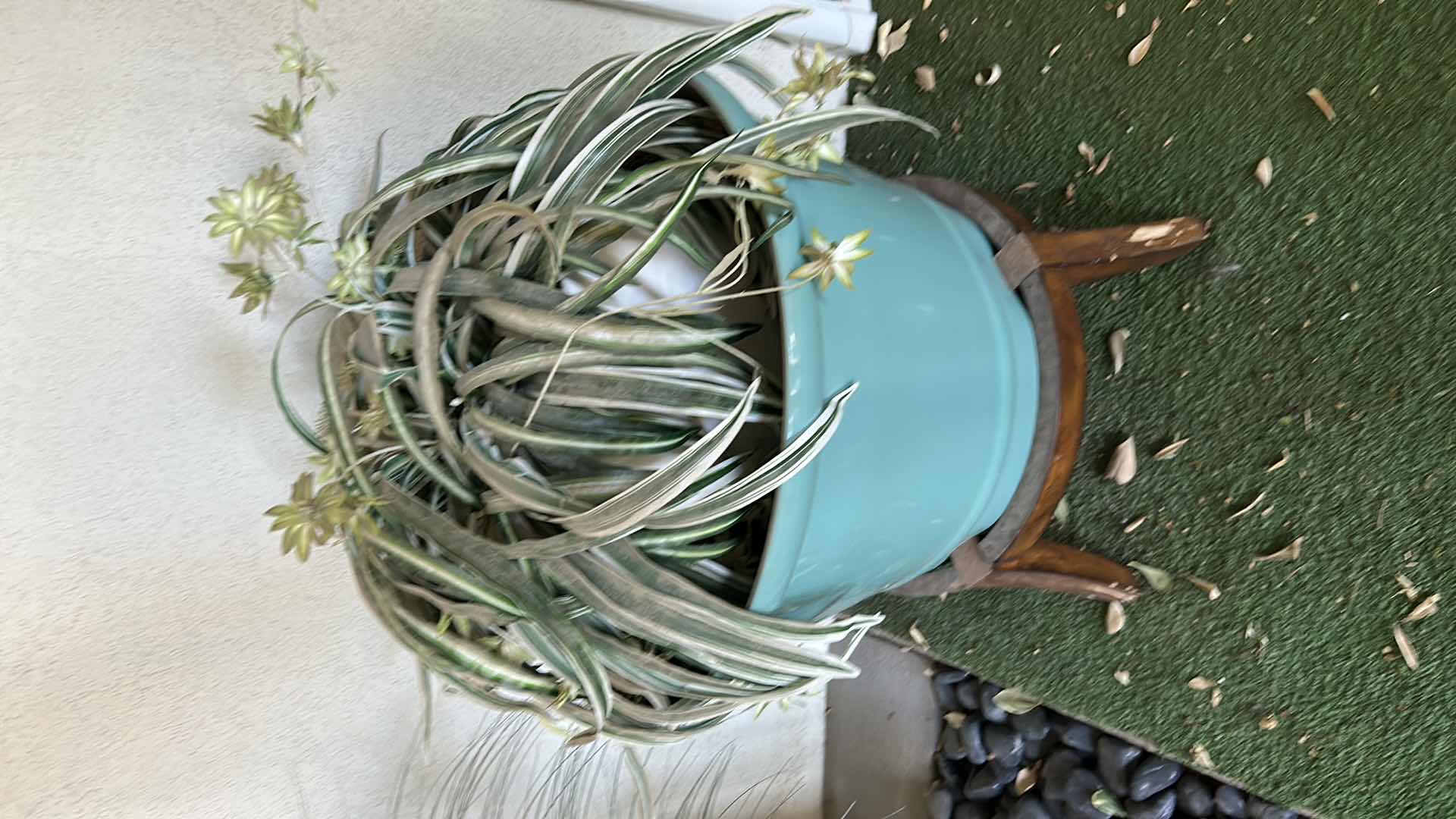 Photo 1 of FAUX PLANT ON WOOD STAND H 24"