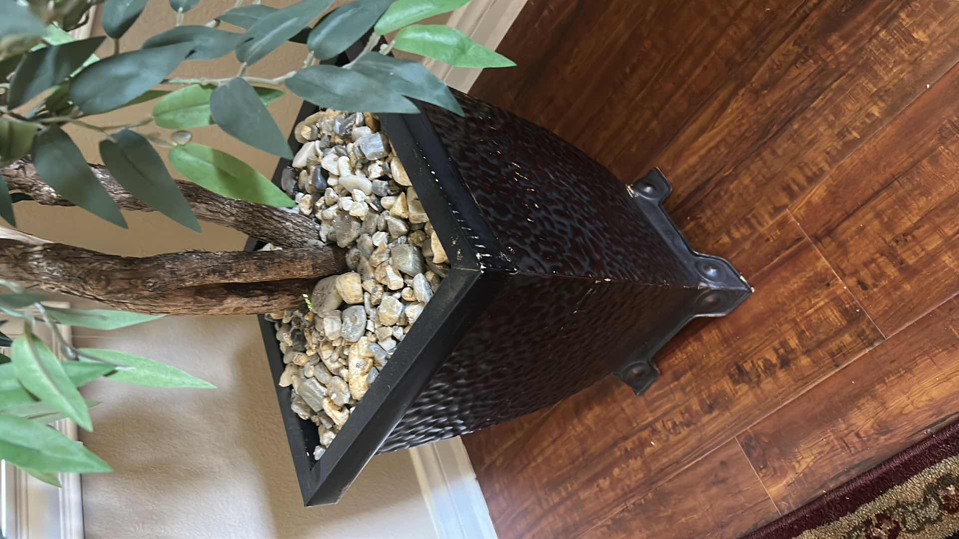 Photo 1 of SMILAX TREE IN BLACK CONTAINER H 76"