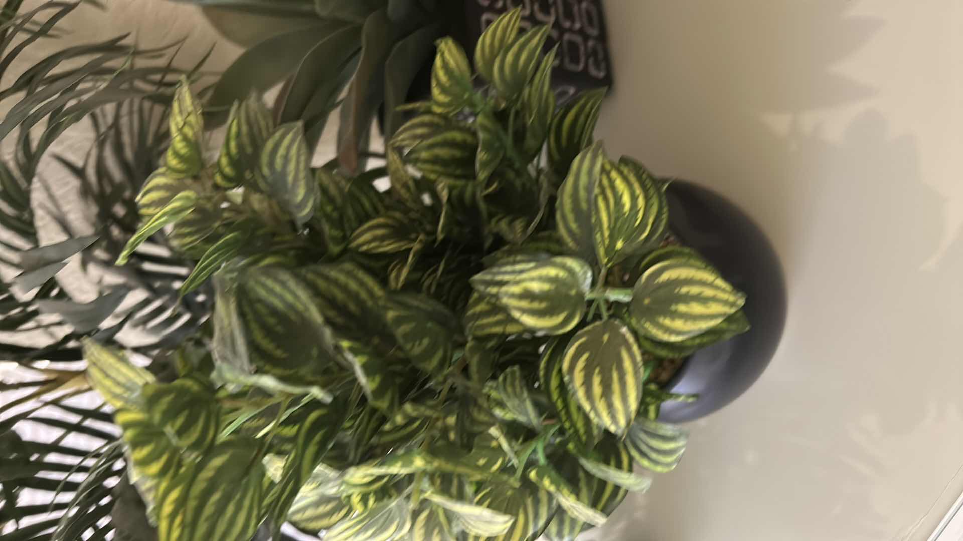 Photo 1 of 4- FAUX PLANTS IN POTS