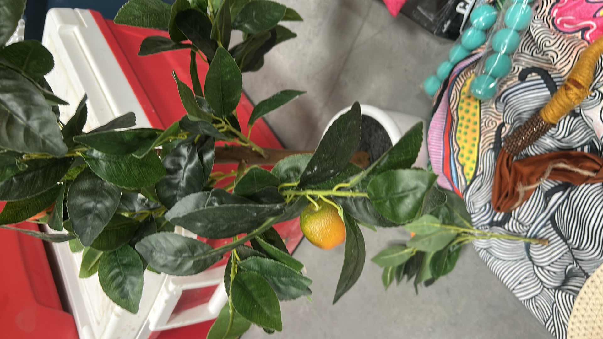 Photo 1 of MISC HIPPIE ASSORTMENT BOOKS, GAMES, THROW, LEMON TREE AND MORE