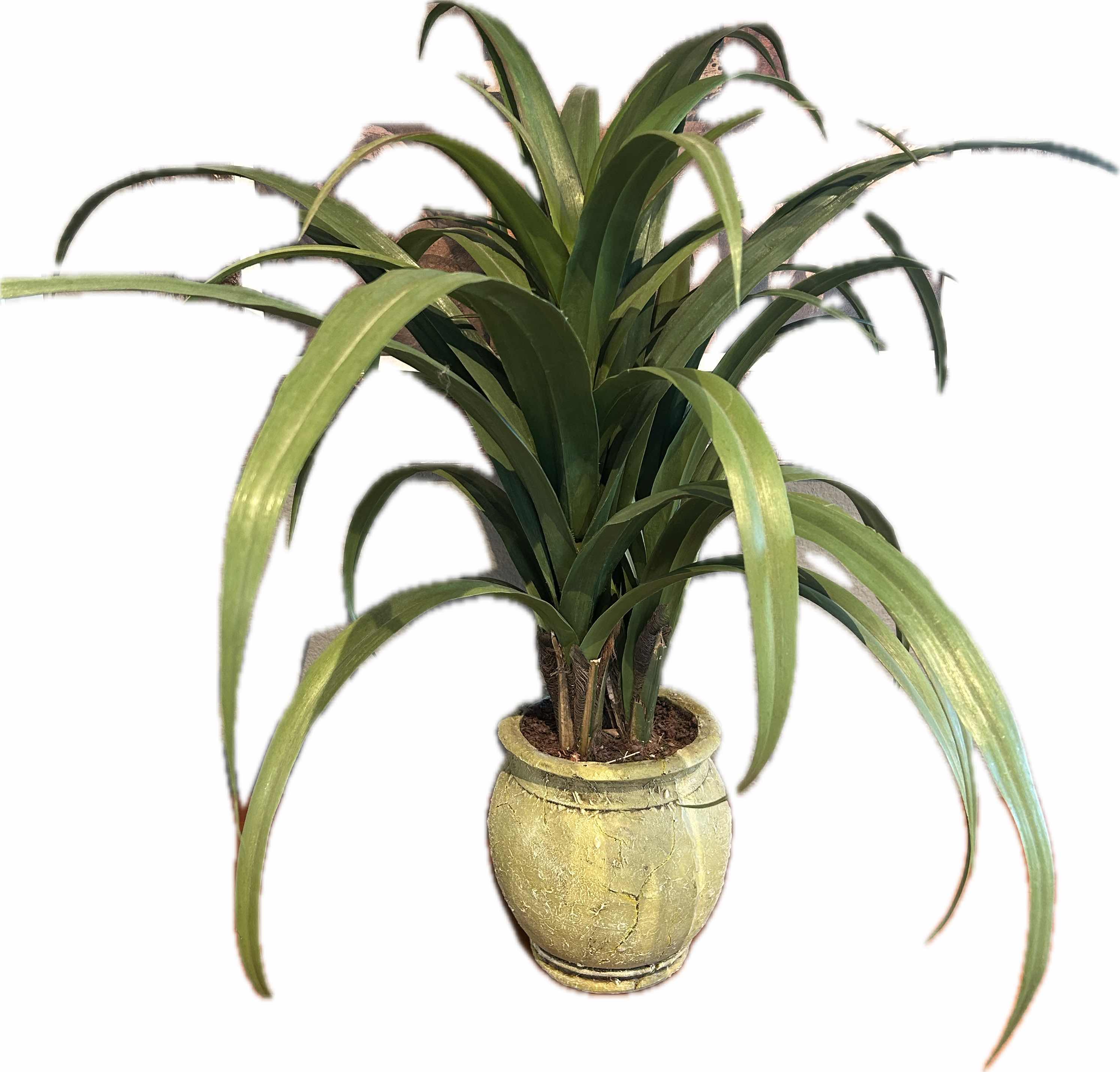 Photo 1 of FAUX PLANT IN RESIN GREEN POT H 29"