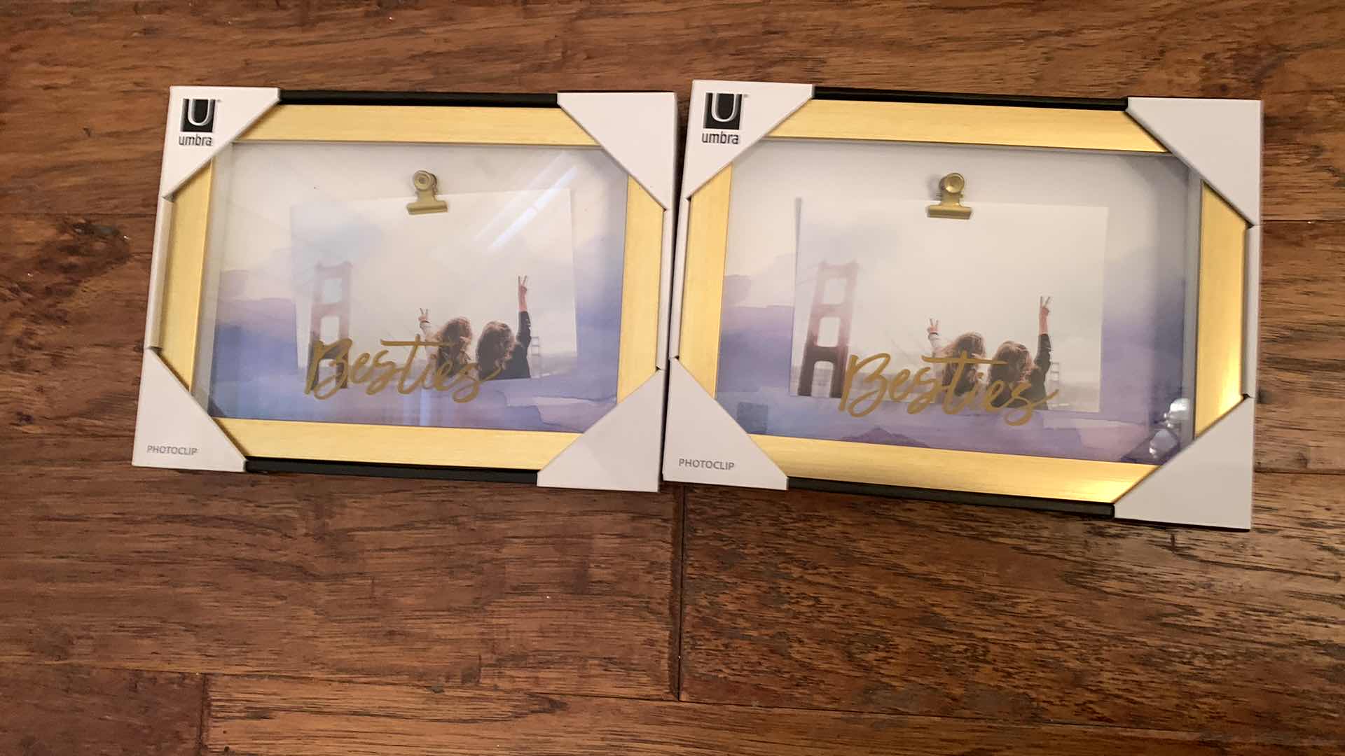 Photo 1 of 2 UMBRA PHOTOCLIP FRAMES