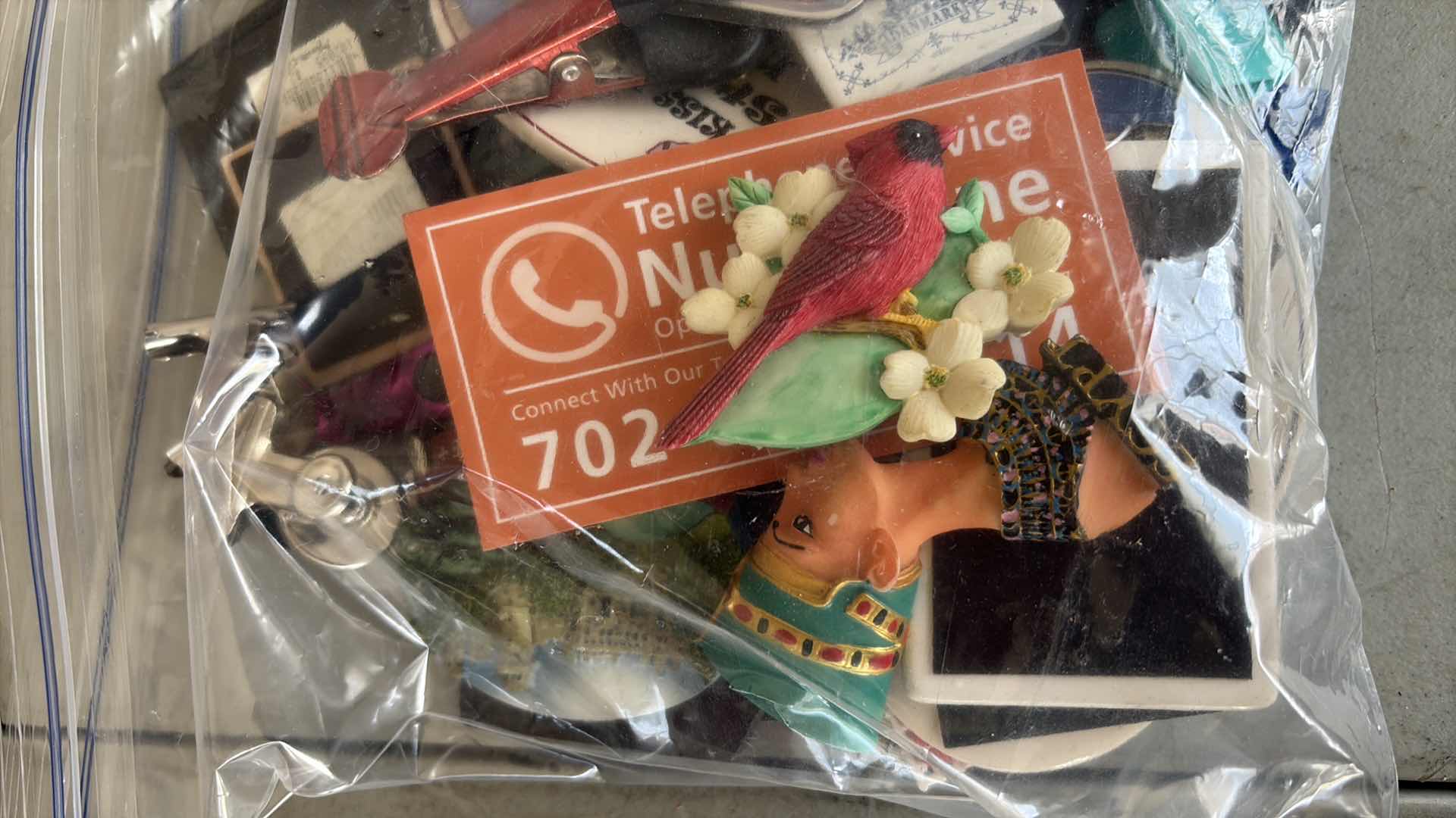 Photo 1 of GALLON BAG OF FRIDGE MAGNETS & CLIPS