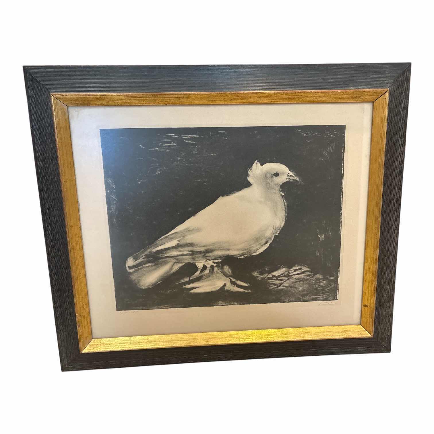 Photo 1 of FRAMED ARTWORK “SPECIES OF ARCTIC” PRINT ARTIST UNKNOWN 20.5”X17.5”
