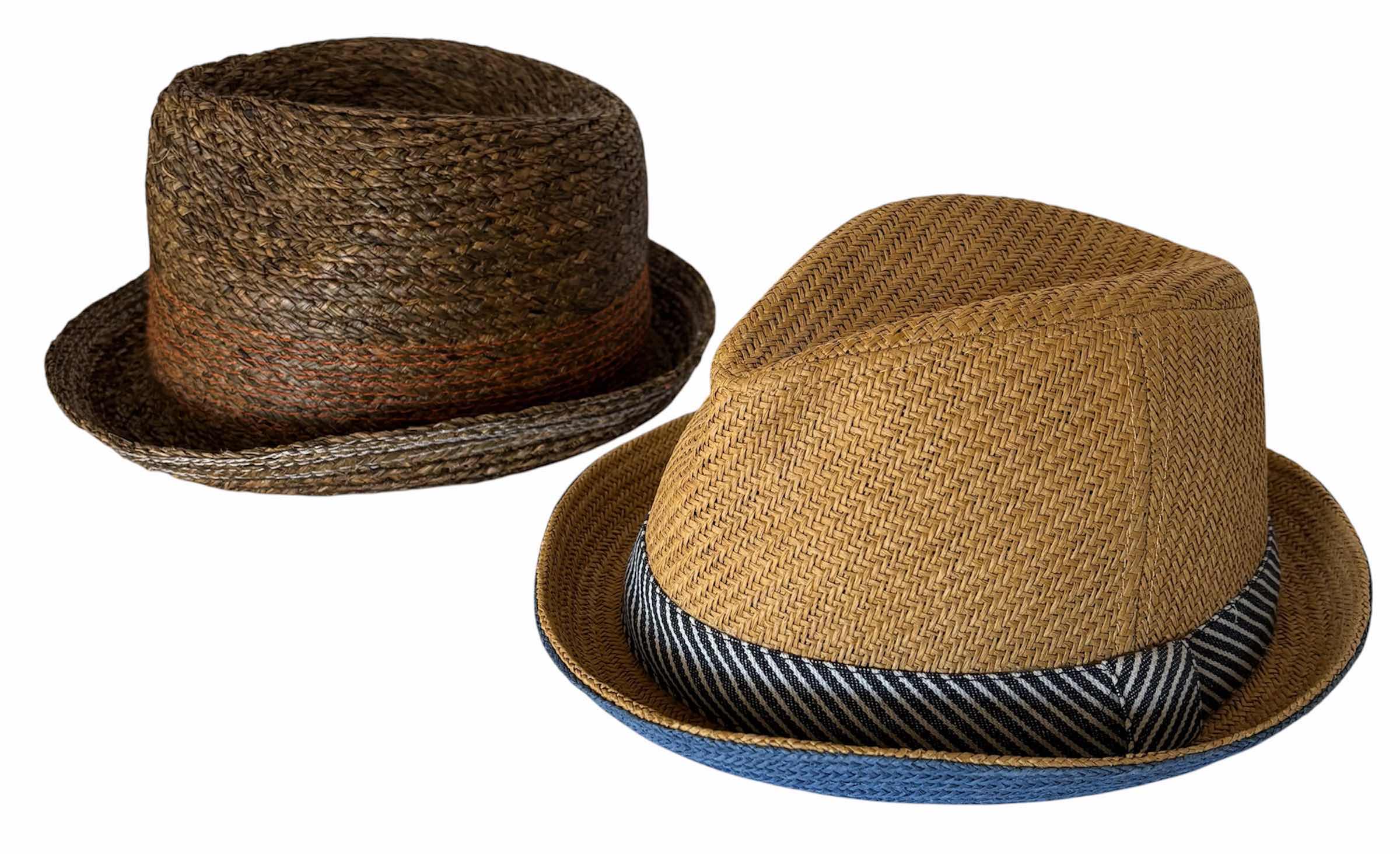 Photo 1 of 2-FEDORA HATS