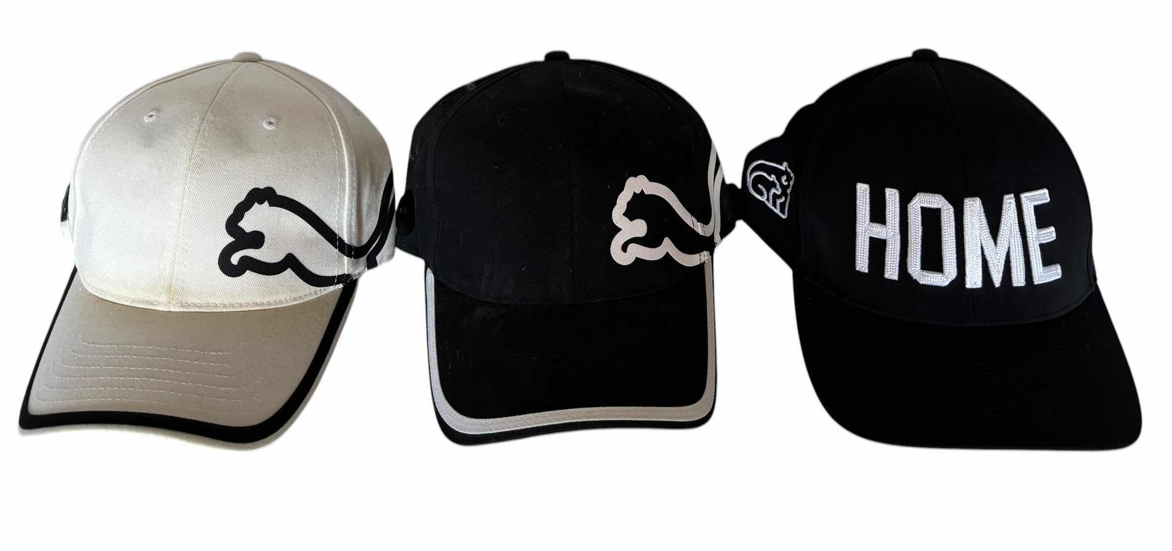 Photo 1 of BALL CAPS (9)