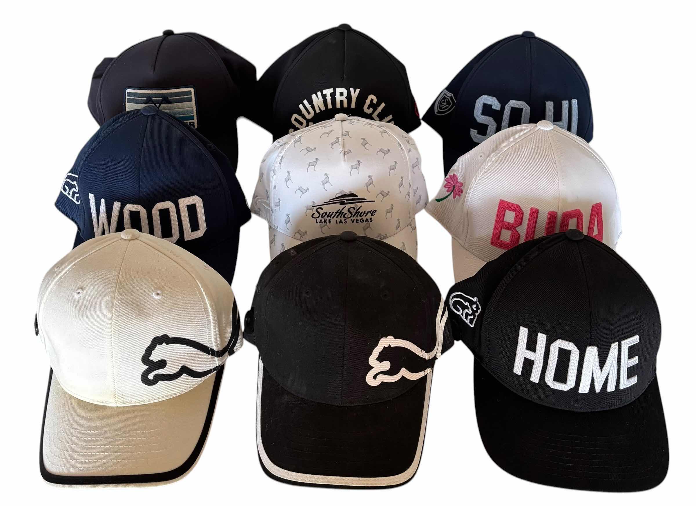 Photo 1 of BALL CAPS (9)