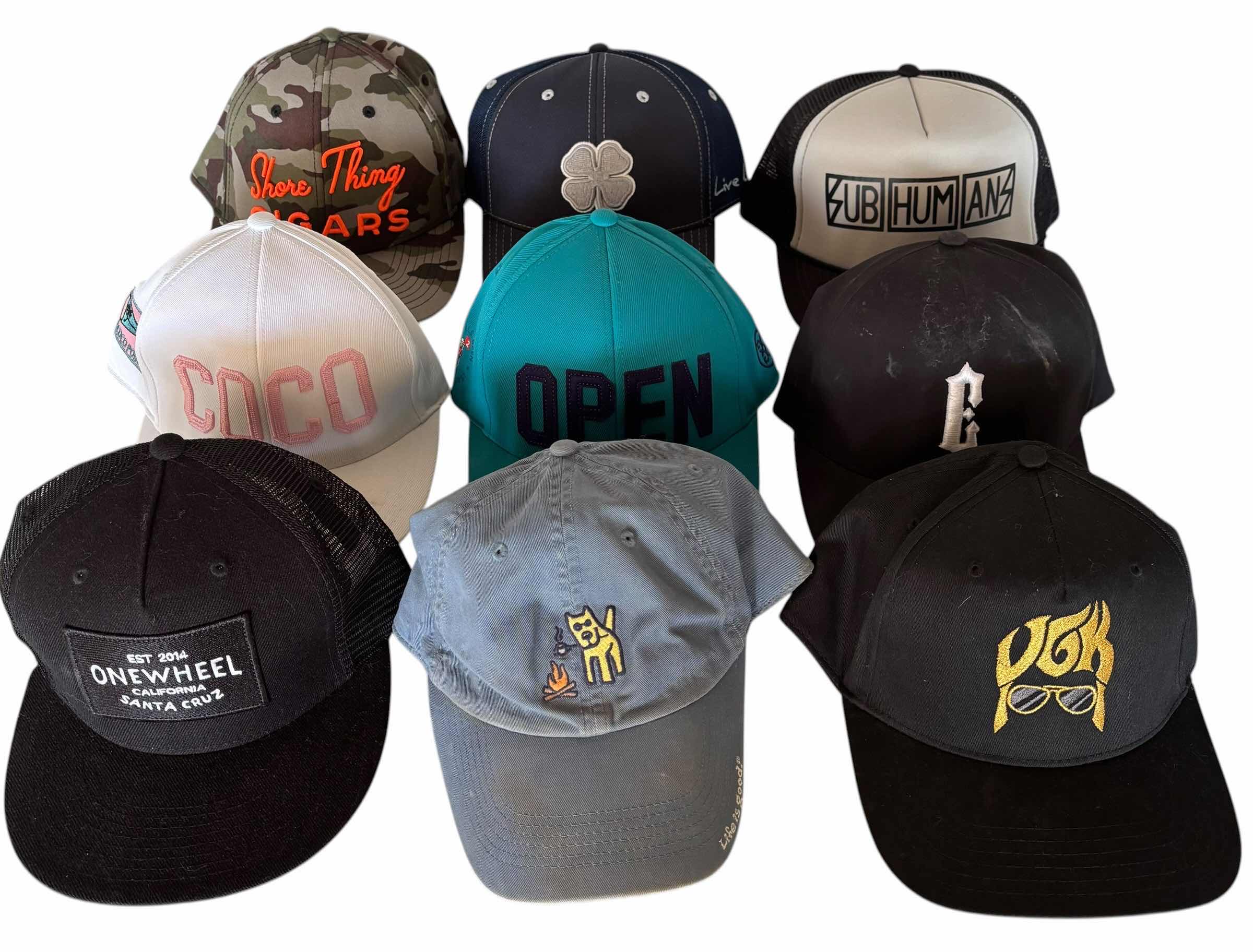 Photo 1 of BALL CAPS (9)