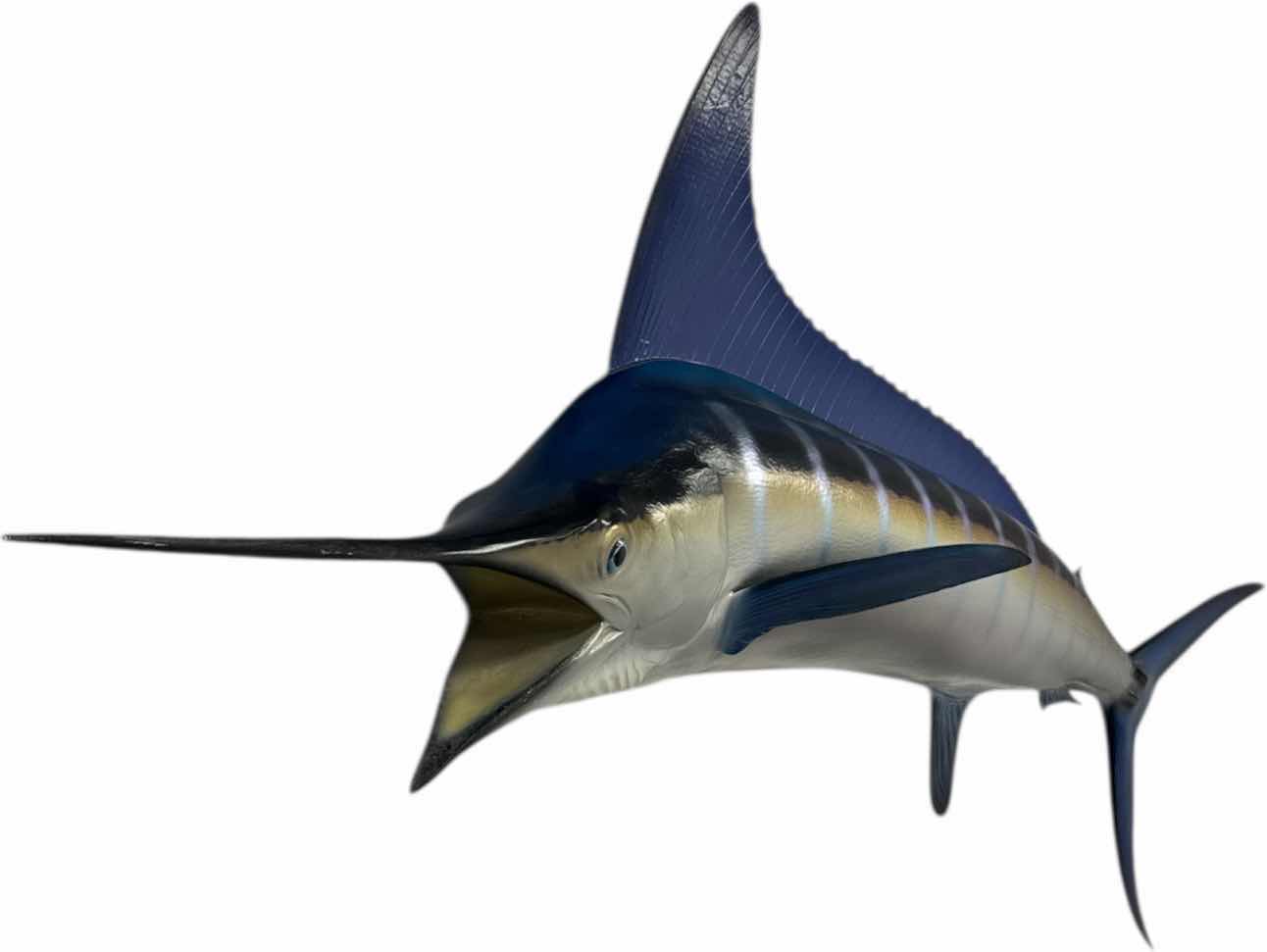 Photo 1 of STRIPED MARLIN REPLICA 106” RESIN WALL MOUNT
 W106” X L40”
