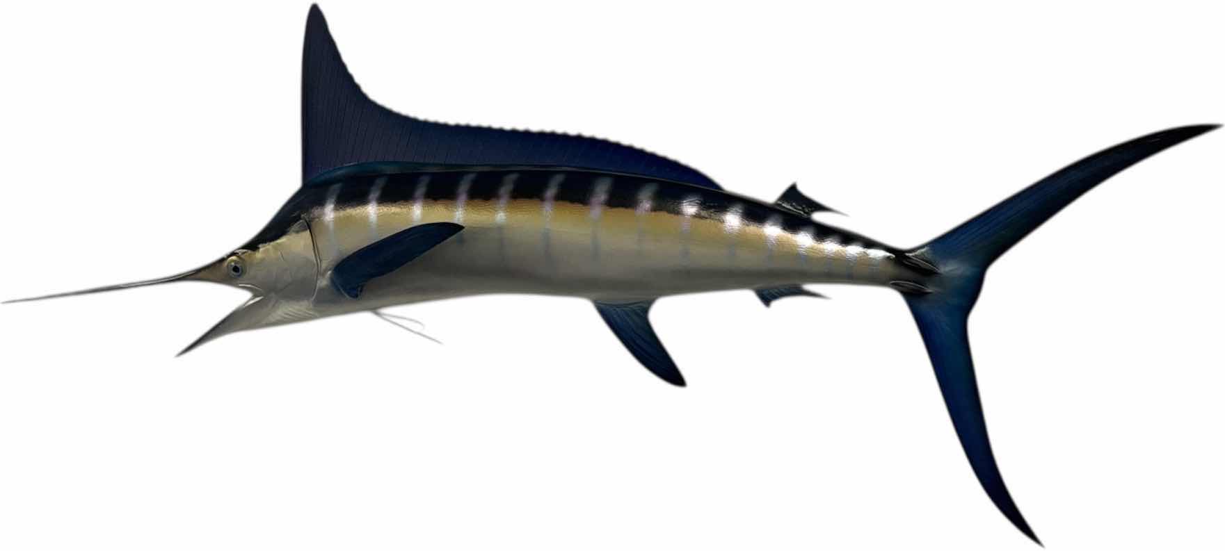 Photo 1 of STRIPED MARLIN REPLICA 106” RESIN WALL MOUNT
 W106” X L40”