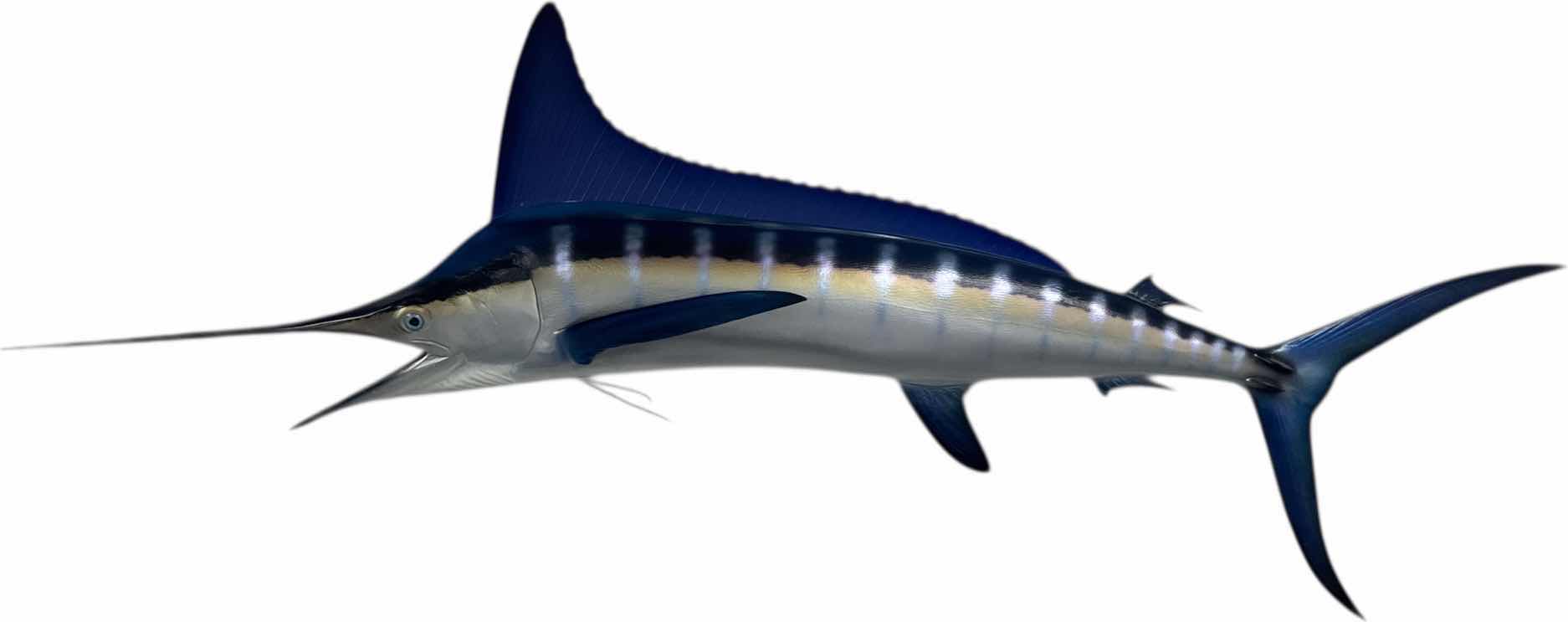 Photo 1 of STRIPED MARLIN REPLICA 106” RESIN WALL MOUNT
 W106” X L40”