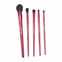Photo 1 of NEW SHAINA B MIAMI B. FAB 5 PC BRUSH SETS (3) & CROWN 5 PC LUXE BRUSH SETS (2)