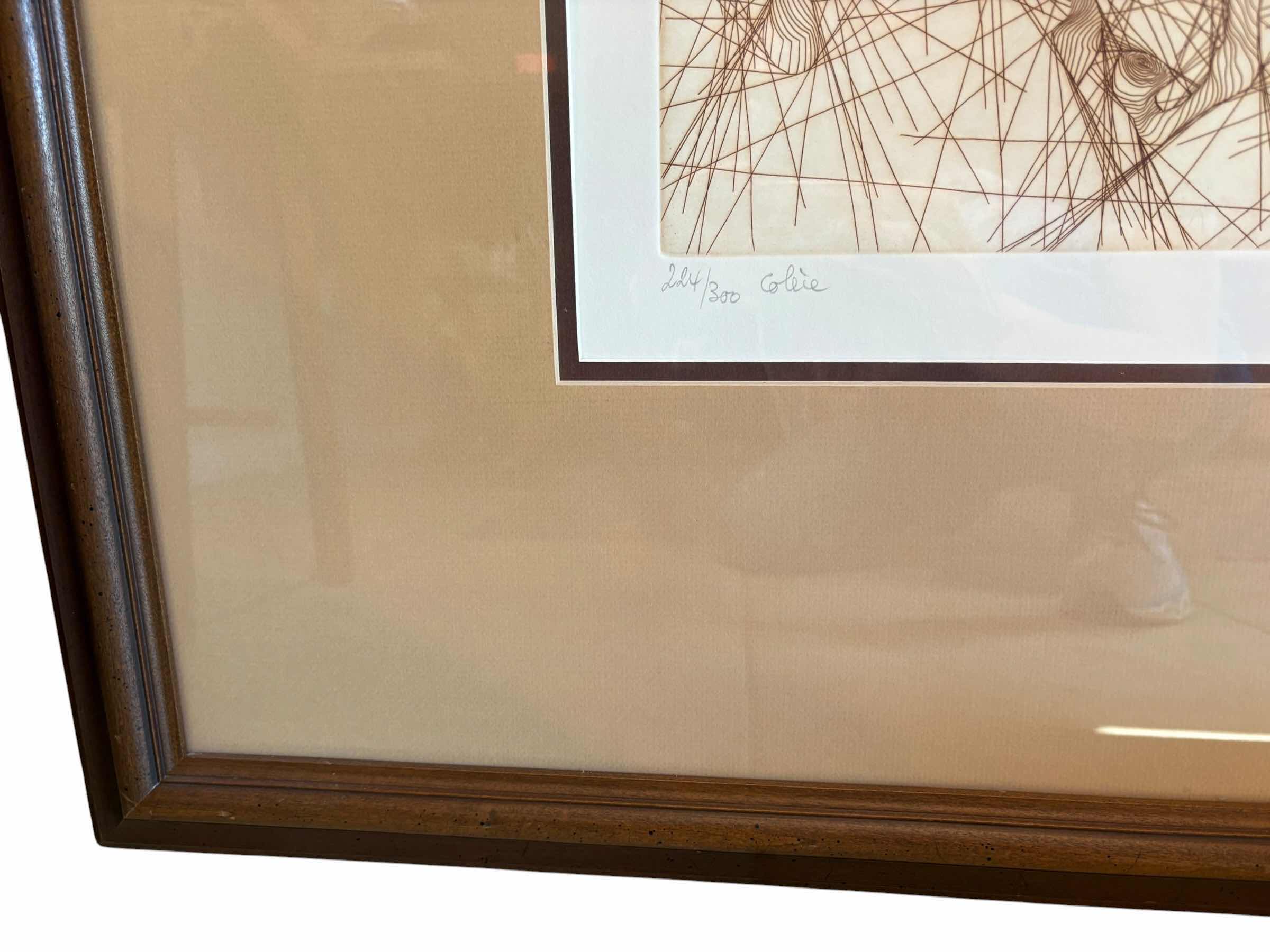 Photo 1 of FRAMED ARTWORK SIGNED LIMITED EDITION “COLERE” ABSTRACT ETCHING WITH SURREALIST STYLING PURCHASED THROUGH GREENVILLE GALLERY, DALLAS TEXAS #224/300 33”X31.5”