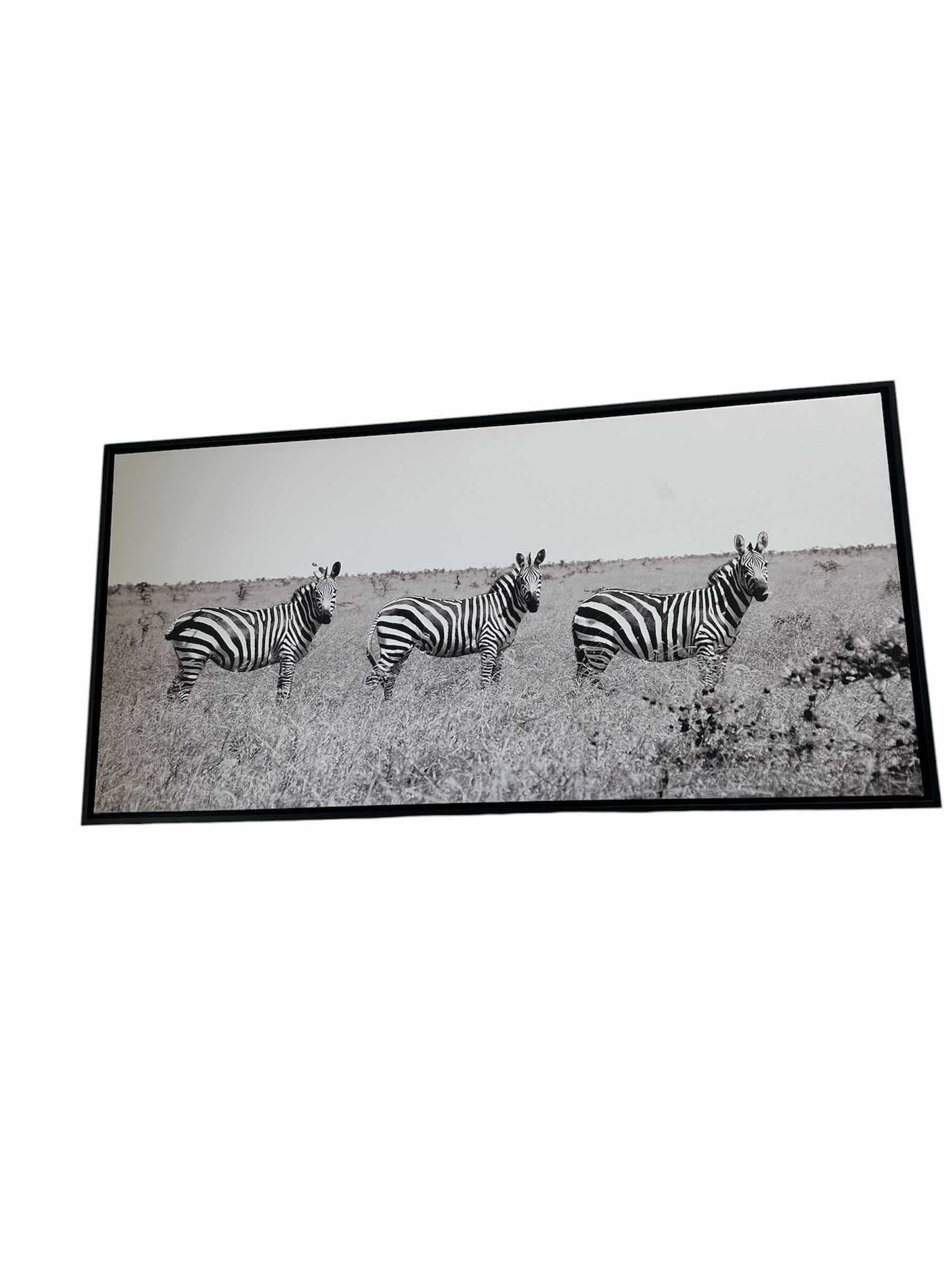 Photo 1 of BLACK FRAMED BLACK AND WHITE PHOTOGRAPHY ARTWORK "MEETING PLACE" FEATURING ZEBRAS 40" X 21"