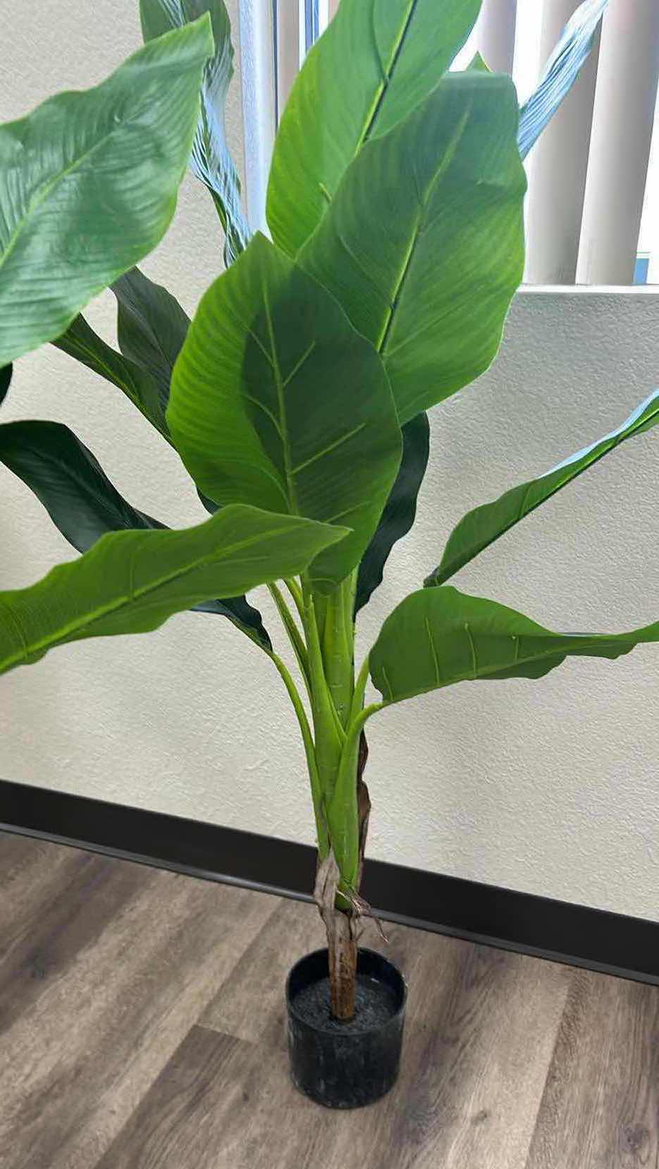 Photo 1 of 4-ARTIFICIAL TRIPLE STALK BANANA TREE H 48"