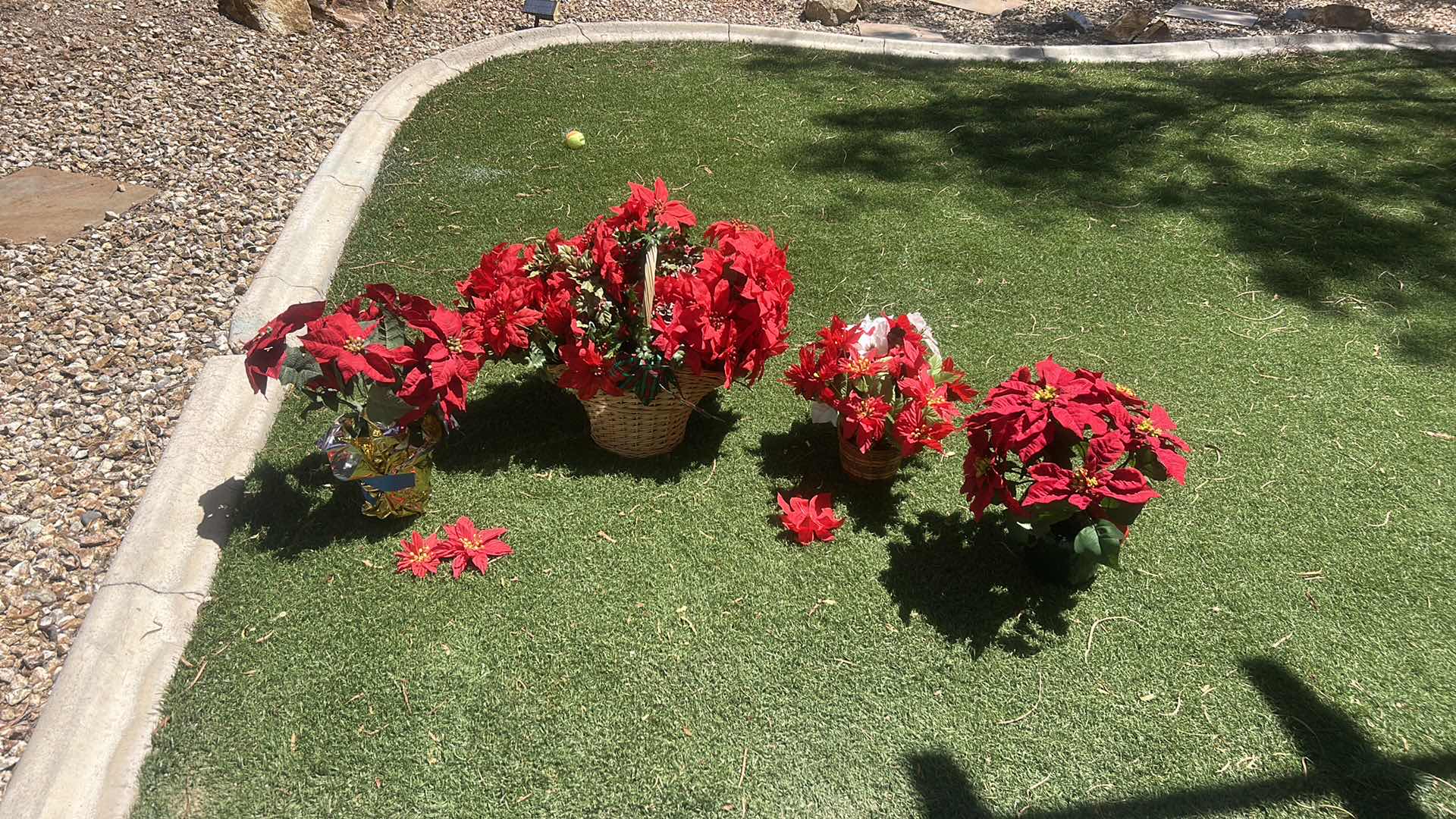 Photo 1 of FAUX POINSETTIA PLANTS