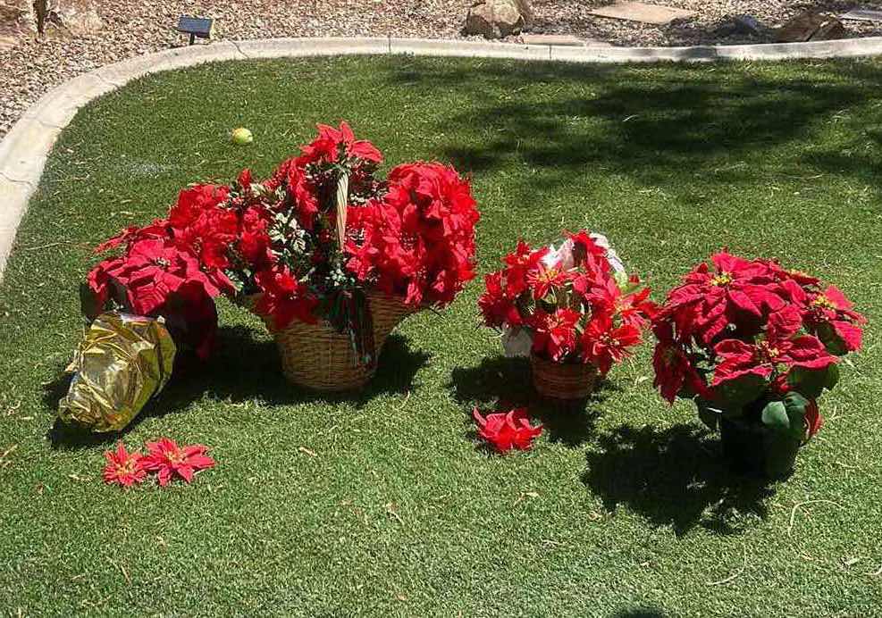 Photo 1 of FAUX POINSETTIA PLANTS