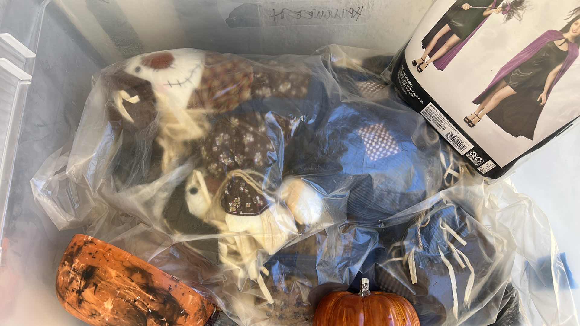 Photo 1 of TOTE FULL OF HALLOWEEN DECOR