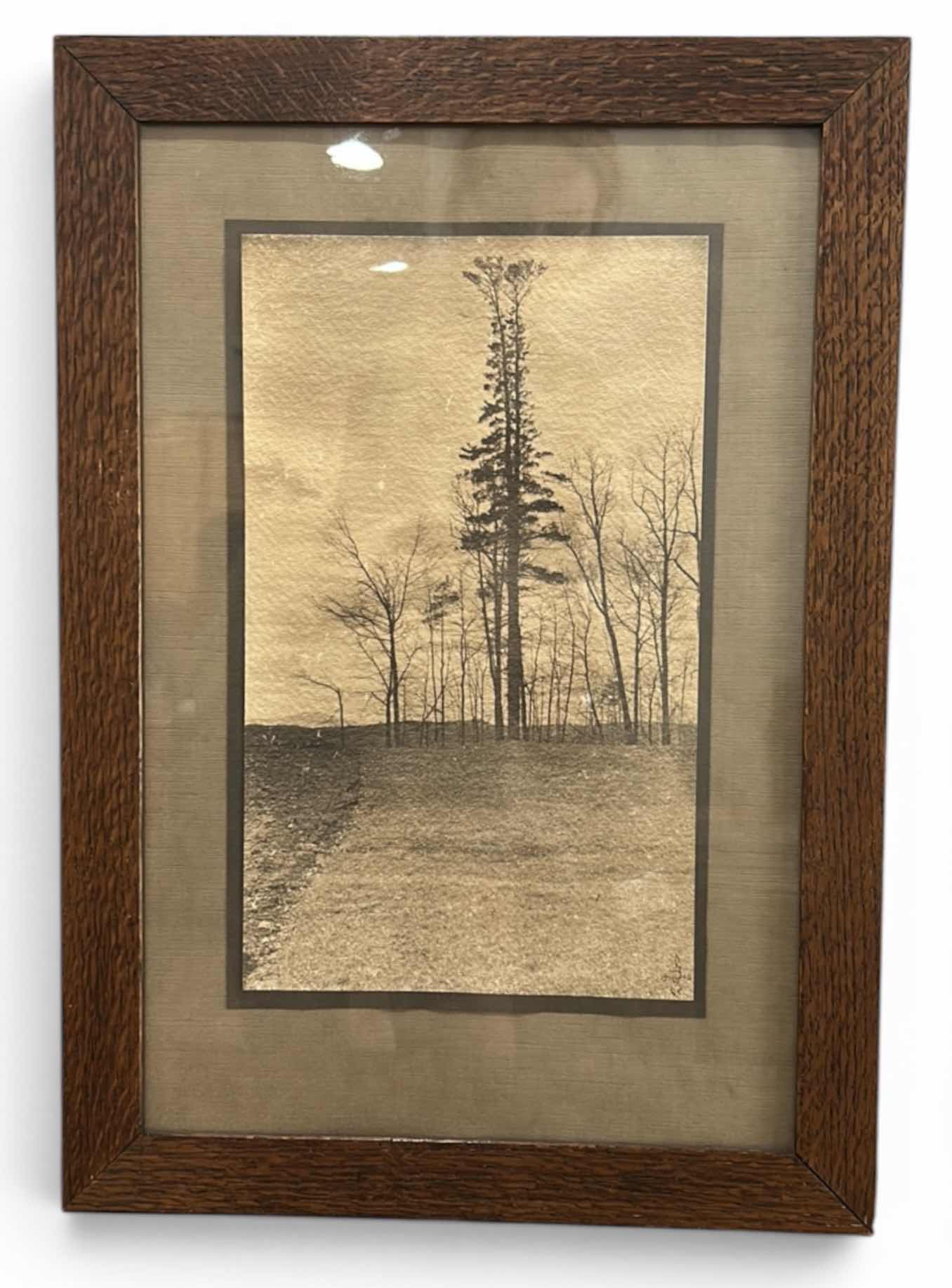Photo 1 of VINTAGE FRAMED ETCHING “SILVER BIRCHES AND STORMY SKY” X AMERICAN ARTIST DON SWANN. ARTWORK 1909, 14 1/4 x H20 1/4
