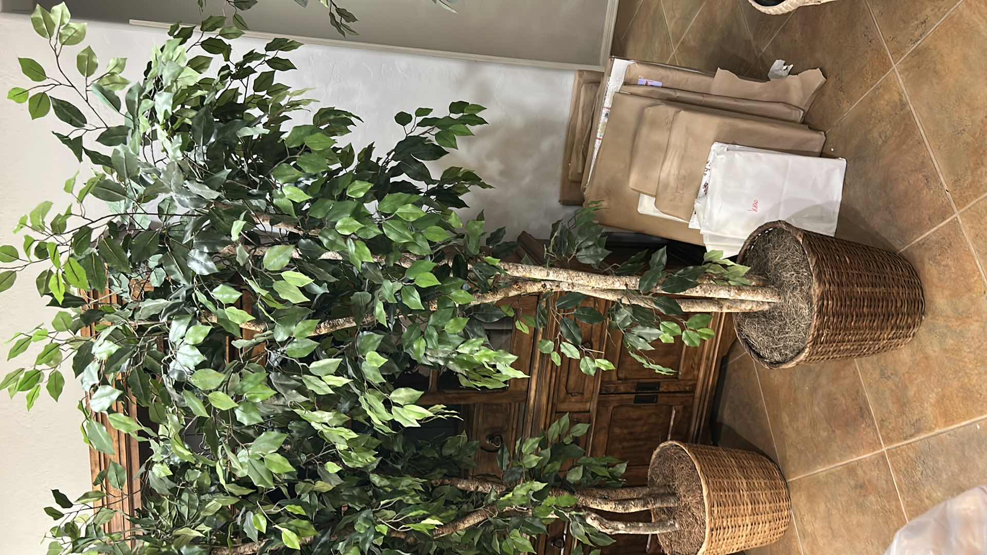 Photo 1 of ARTIFICIAL FICUS TREE 8’