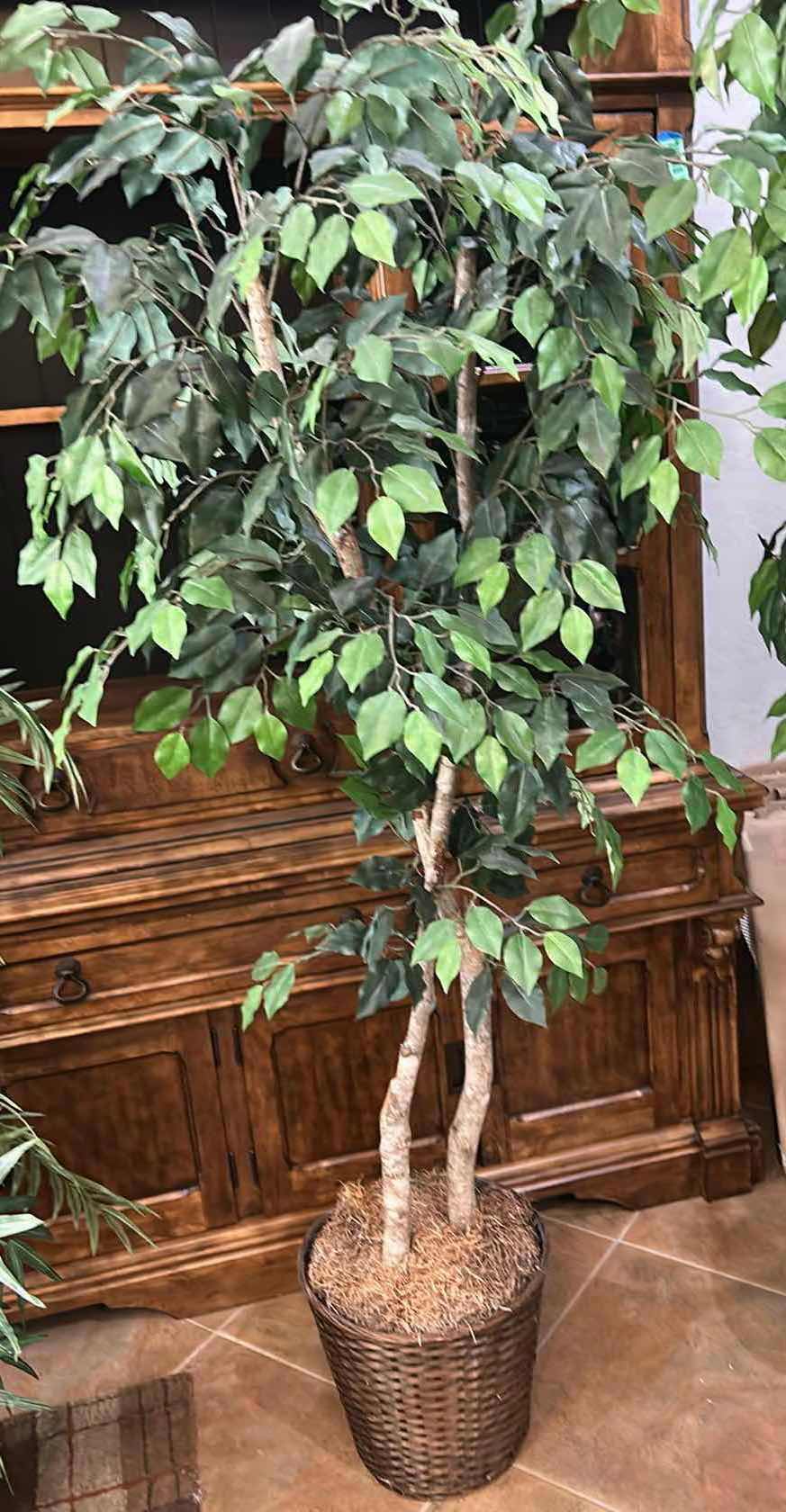 Photo 1 of ARTIFICIAL FICUS TREE 6’