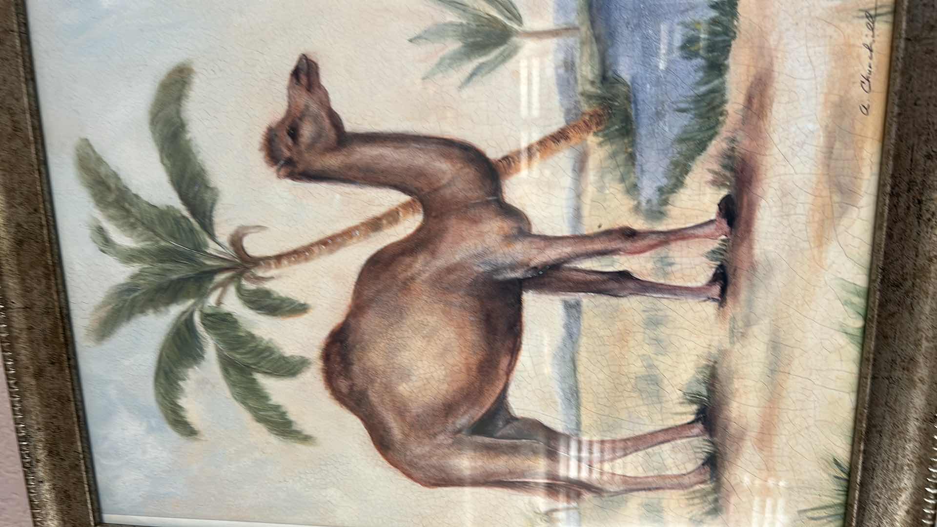 Photo 1 of SET A FOUR "ANIMALS AFRICANA" PRINT ARTWORK PIECES BY ALEXANDRA CHURCHILL, FEATURING A GIRAFFE, CAMEL, ELEPHANT AND ZEBRA IN RUSTIC GOLD FRAMES. 13” x H 16”
