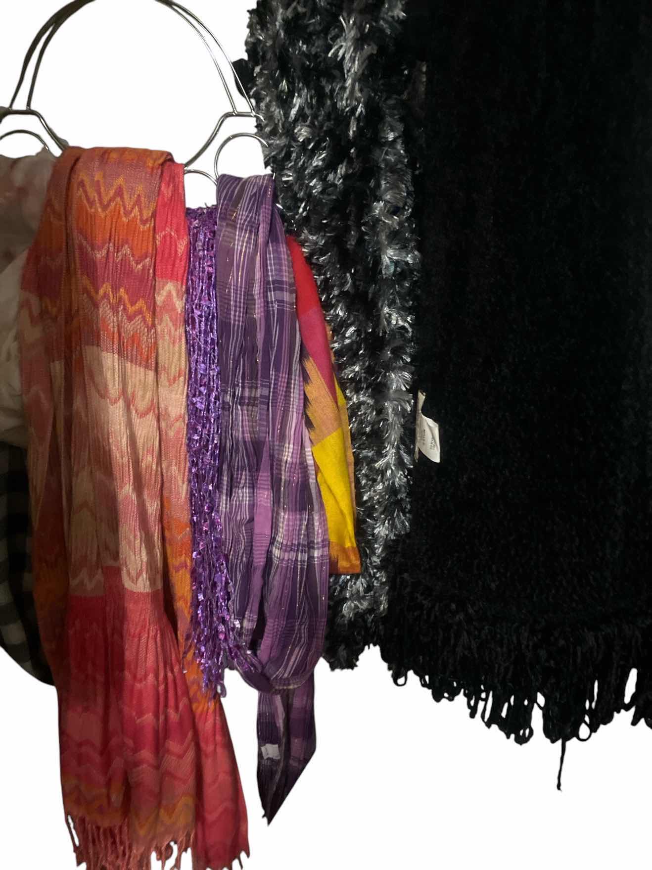 Photo 1 of SCARFS