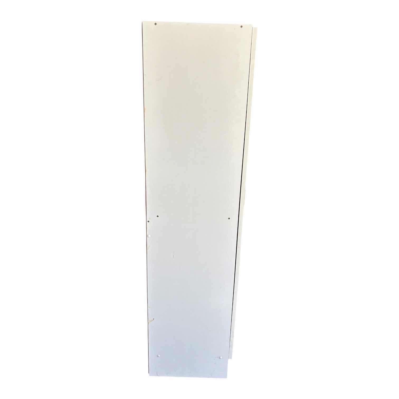 Photo 1 of GARAGE CABINET 30” X 15” X H59”