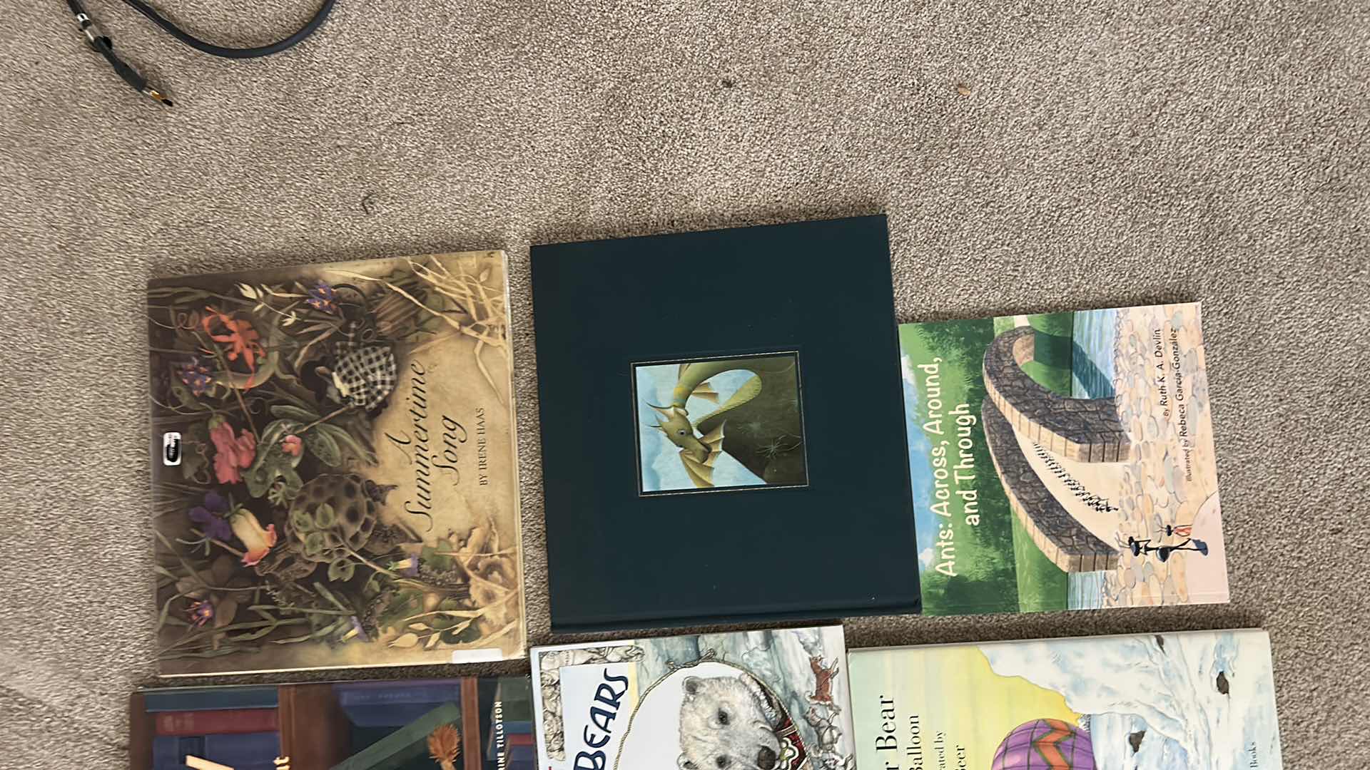 Photo 1 of 9- CHILDREN BOOKS VARIOUS TITLES & AUTHORS