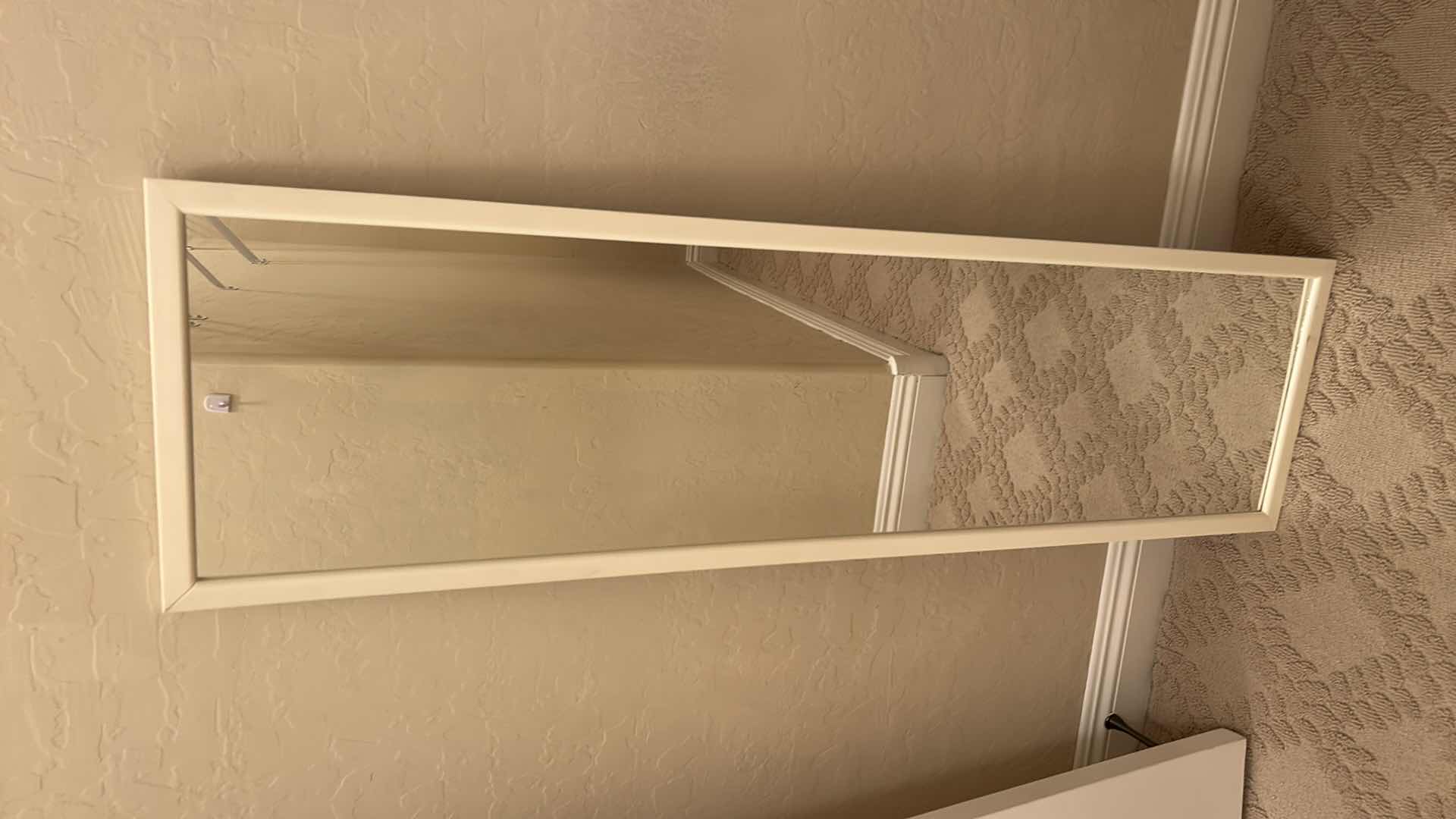 Photo 1 of THIN RECTANGULAR WALL/DOOR MIRROR 14.5” x H49 1/2 “