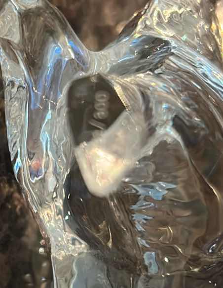 Photo 1 of COLLECTABLE BACCARAT CLEAR CRYSTAL ZODIAC DOG FROM 2006 BELLAGIO H 6"