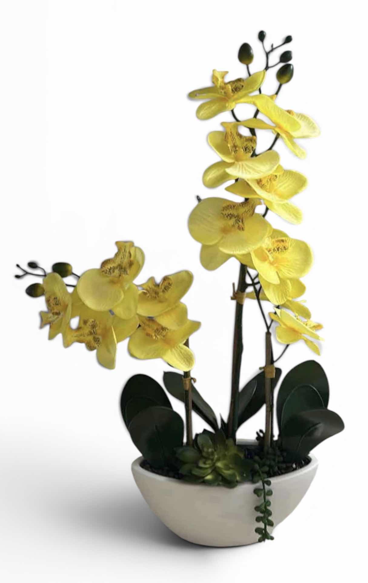 Photo 1 of ARTIFICIAL PHALAENOPSIS ORCHID ARRANGEMENT FEATURES VIBRANT YELLOW FLOWERS SET IN A SLEEK WHITE CERAMIC POT H24”