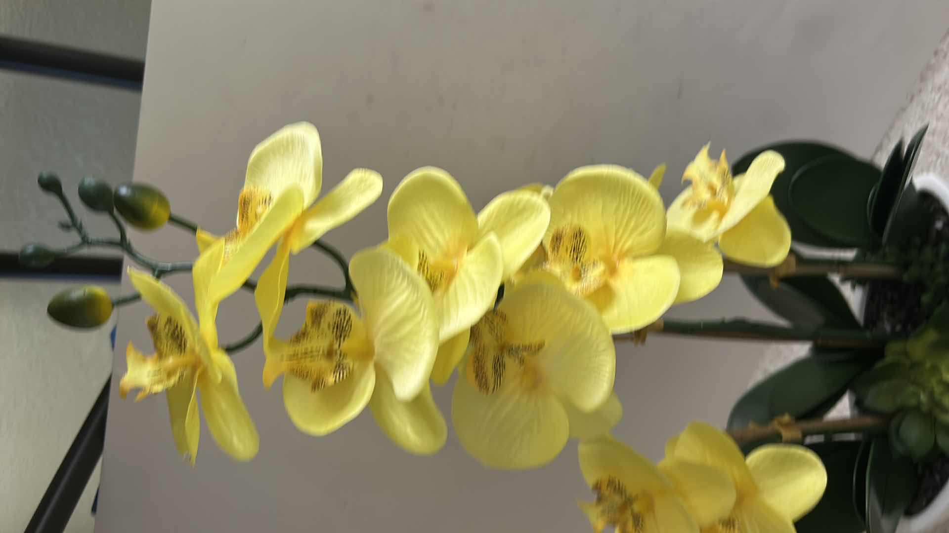 Photo 1 of ARTIFICIAL PHALAENOPSIS ORCHID ARRANGEMENT FEATURES VIBRANT YELLOW FLOWERS SET IN A SLEEK WHITE CERAMIC POT H24”