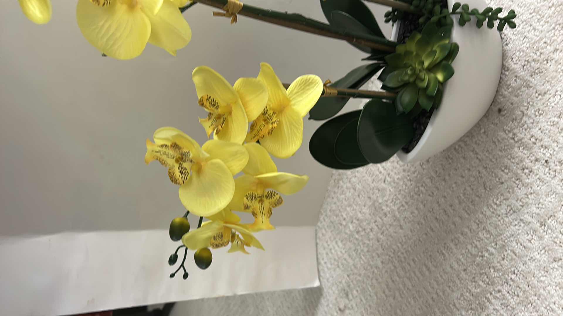 Photo 1 of ARTIFICIAL PHALAENOPSIS ORCHID ARRANGEMENT FEATURES VIBRANT YELLOW FLOWERS SET IN A SLEEK WHITE CERAMIC POT H24”