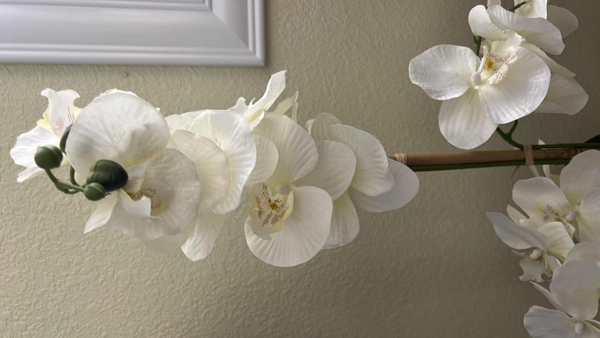 Photo 1 of ARTIFICIAL PHALAENOPSIS ORCHID ARRANGEMENT FEATURES WHITE SILK BLOOMS HOUSED IN A TEXTURED, METALLIC GOLD POT. H31”