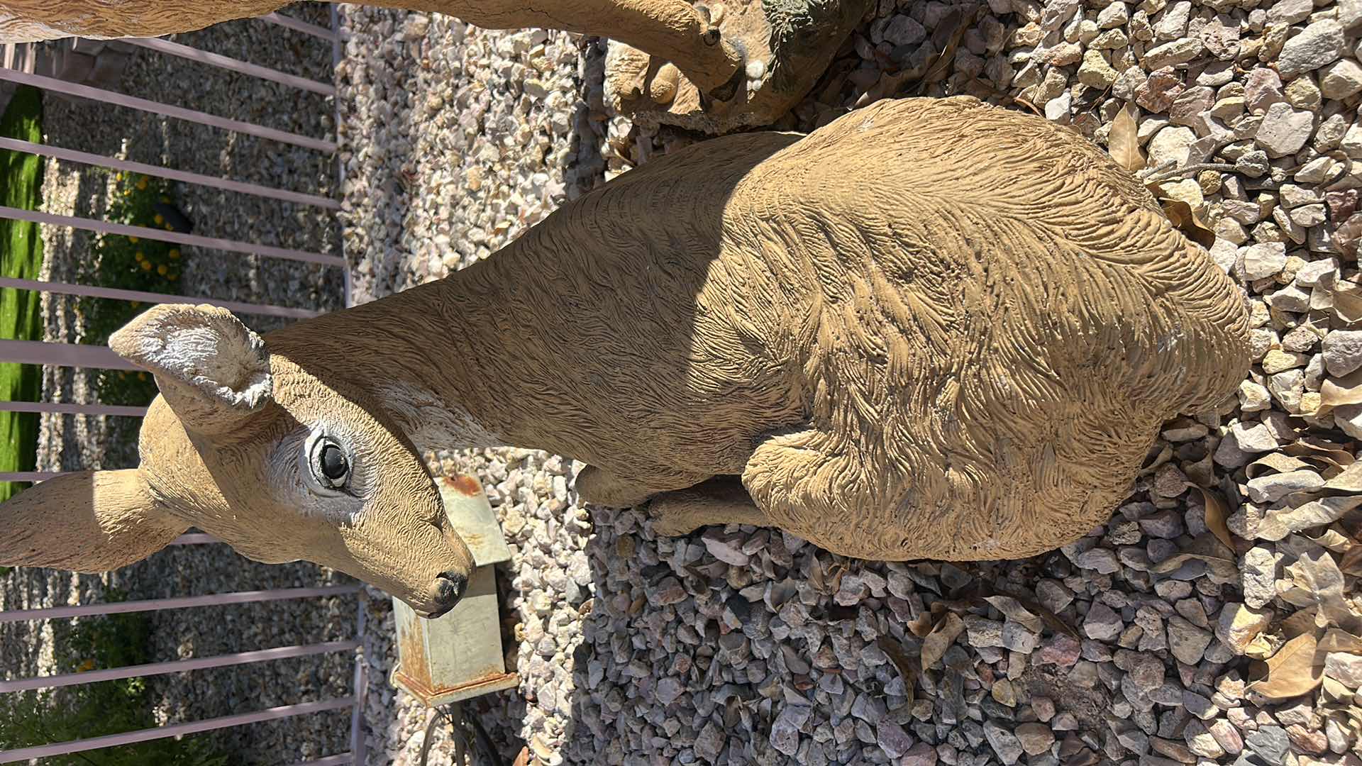 Photo 1 of CAST CONCRETE DEER STATUE H24”